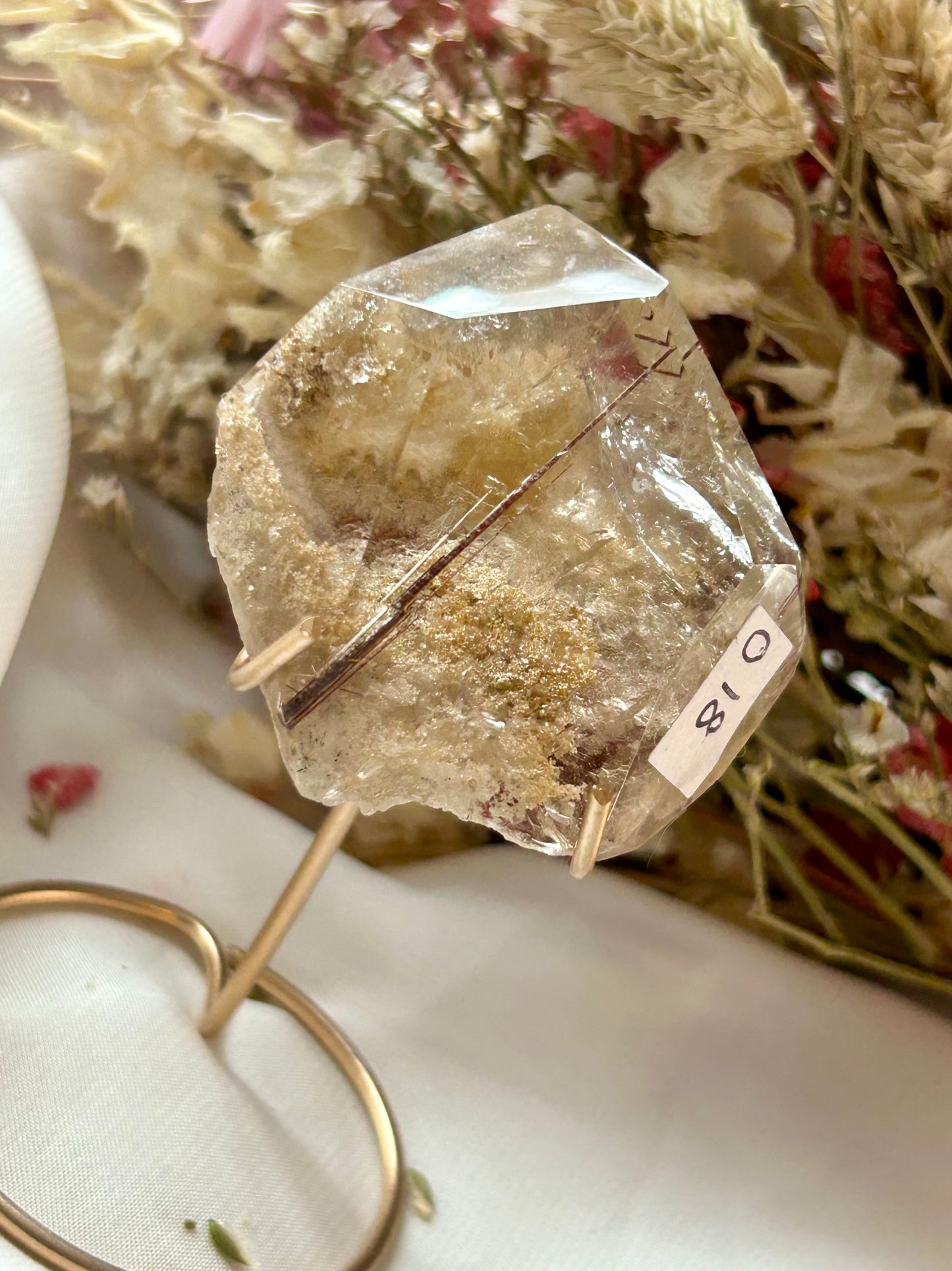 Listing for staffys_circus