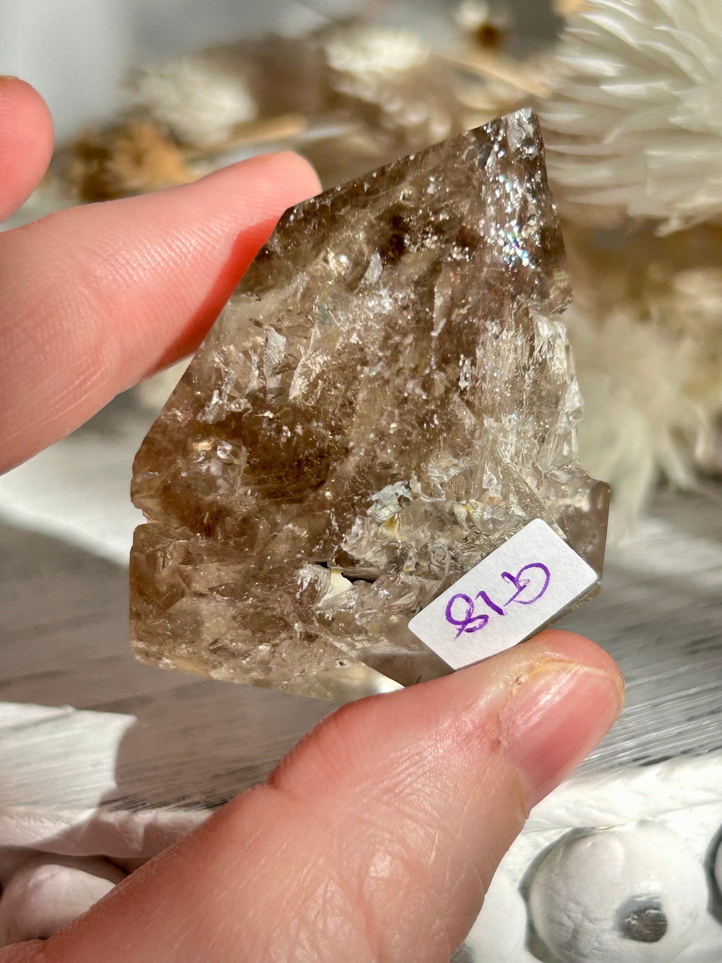 Polished Elestial Quartz DT – Ancient Wisdom Encased in Light