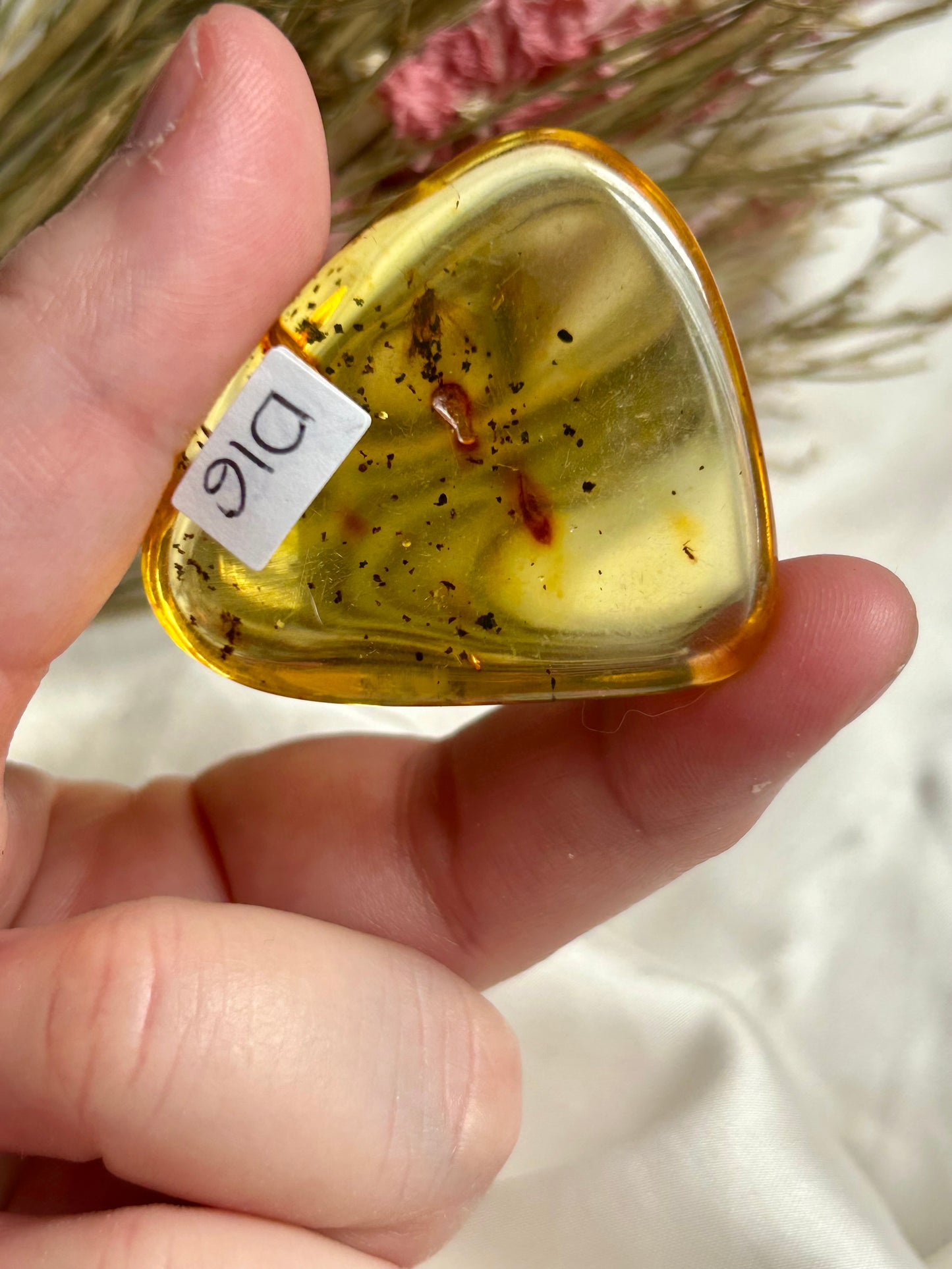 Colombian Amber