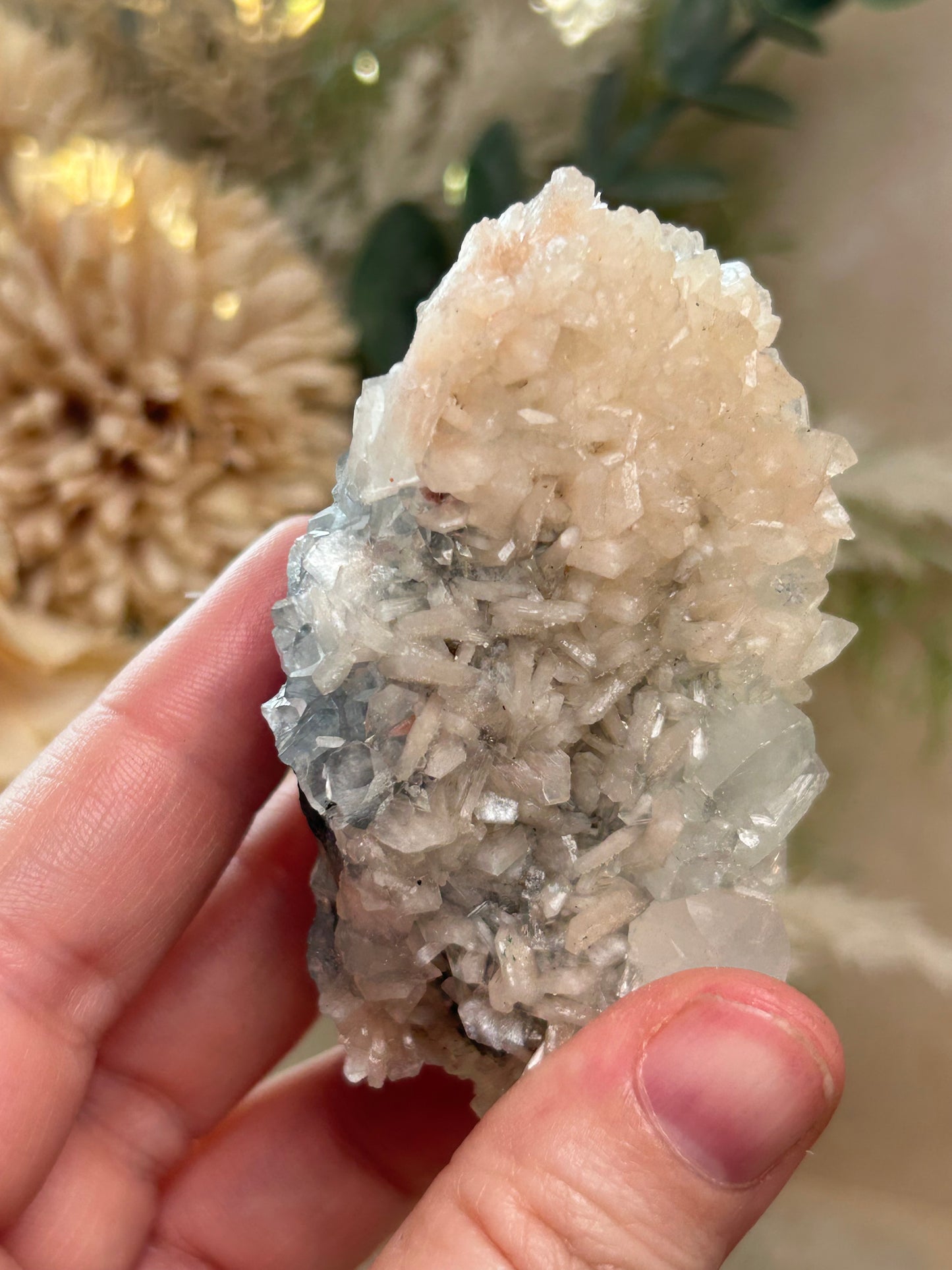 Apophyllite Stalactite with Stilbite petals on Chalcedony