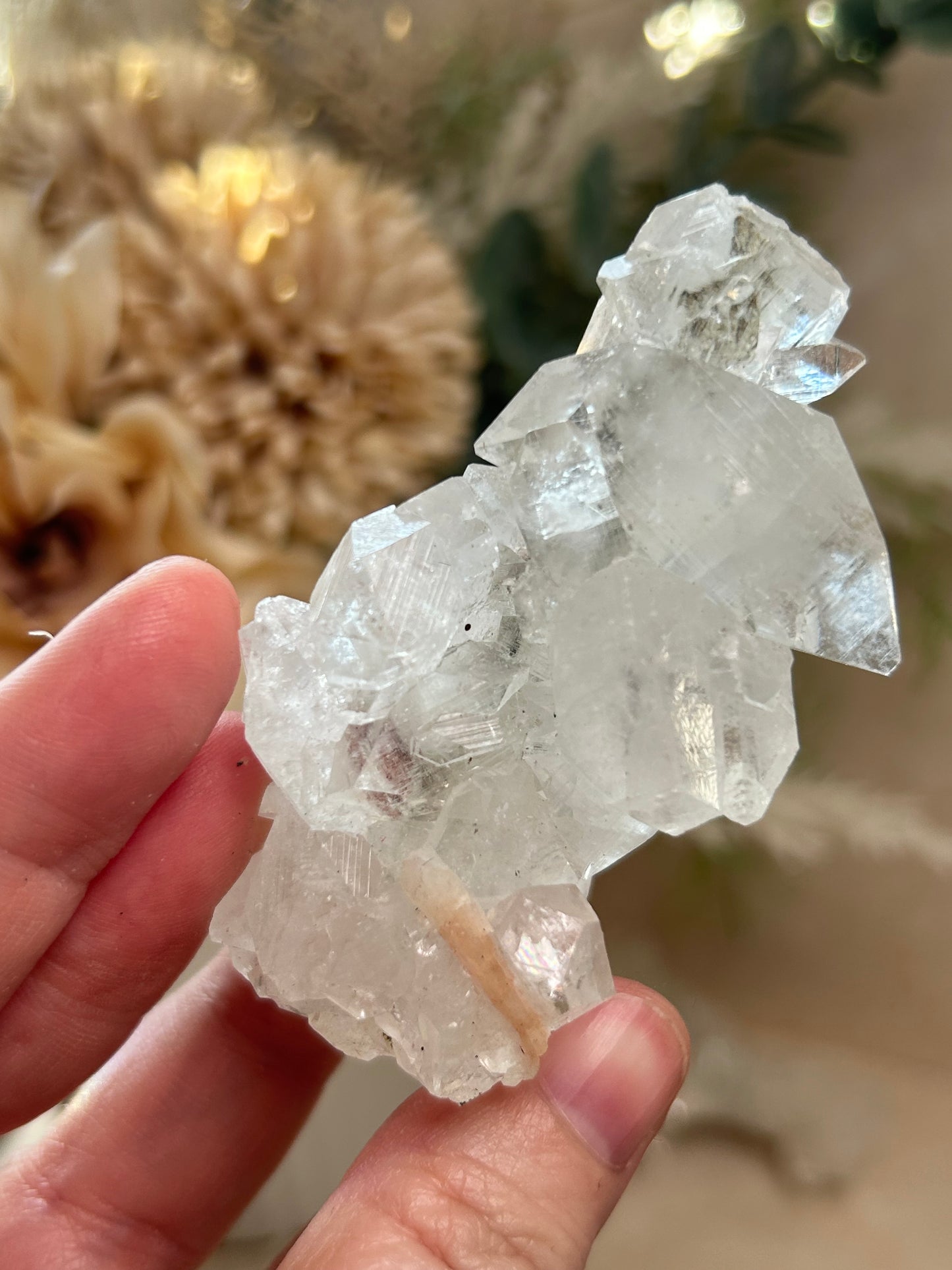 Clear crystal cluster held in a hand with a blurred natural background