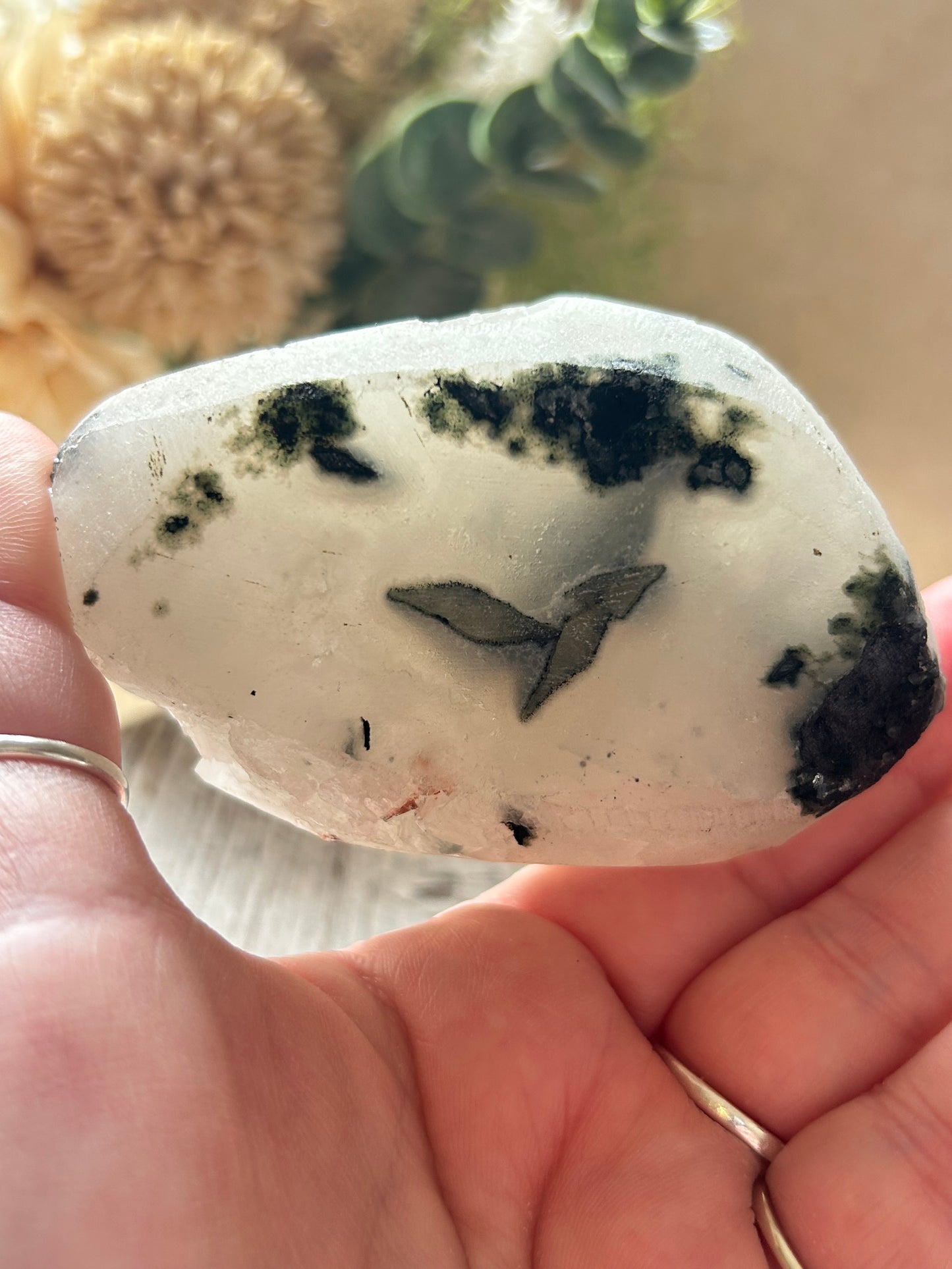 Close-up of a hand holding a white stone with black markings, blurred background