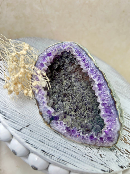 Sugar Amethyst geode from Uruguay with greenish druzy coating and deep violet core, displayed on a rustic white stand beside dried florals.
