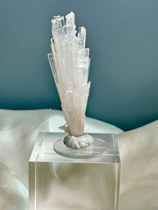 Natural scolecite spray cluster with golden calcite nodules from Maharashtra, featuring delicate radiating crystal blades