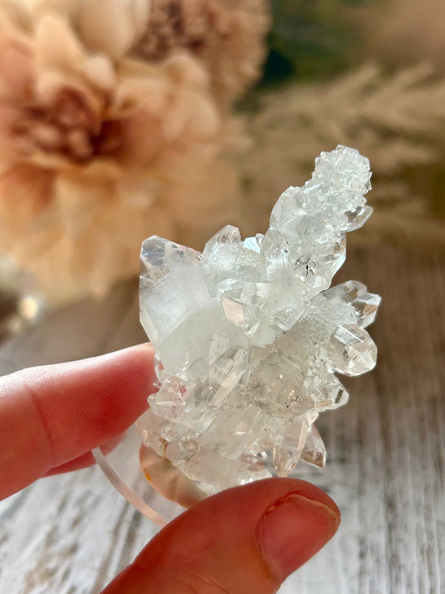 High Grade Apophyllite Stalactite