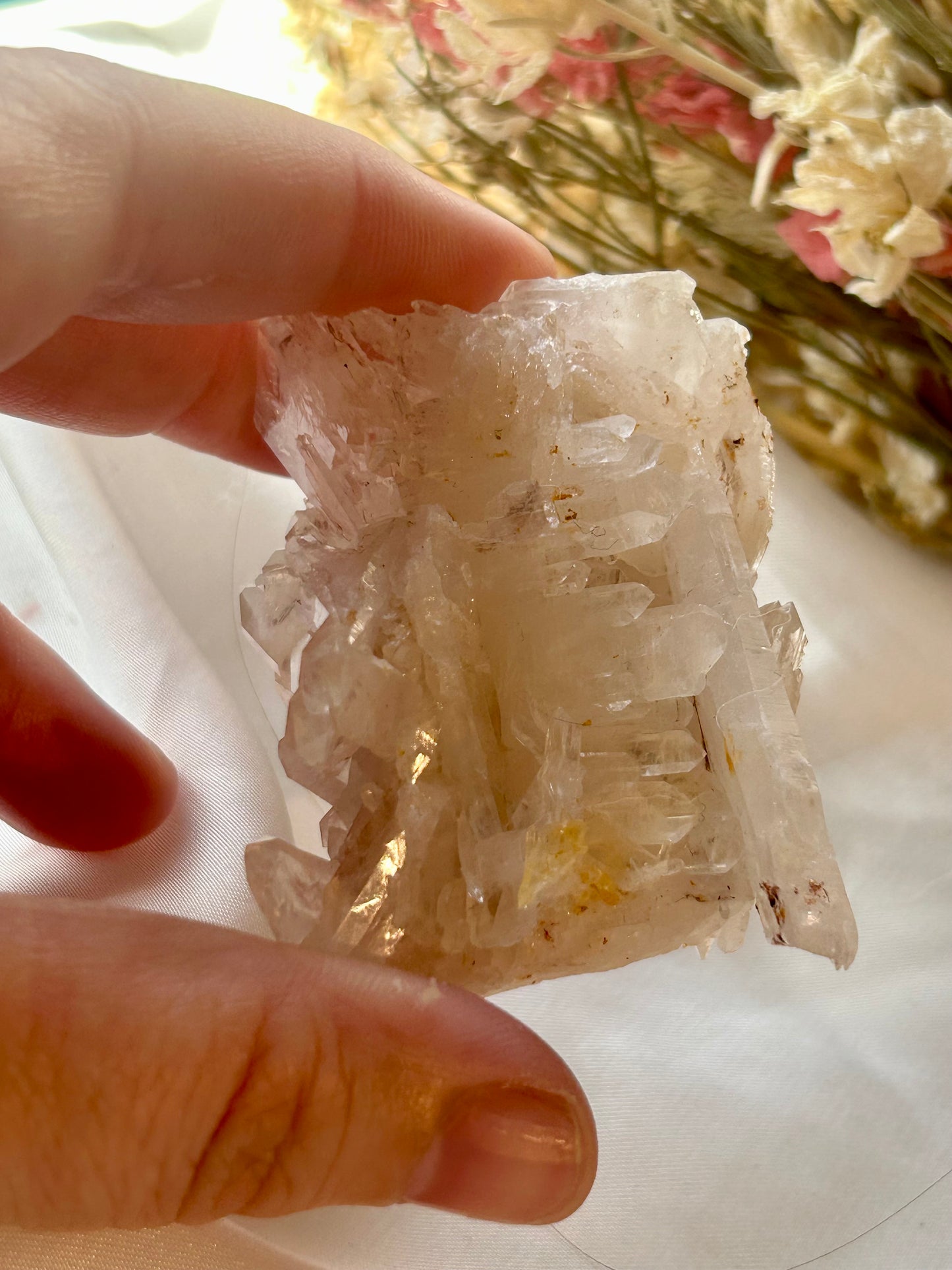 Sacred Pink Lemurian / tabular Quartz