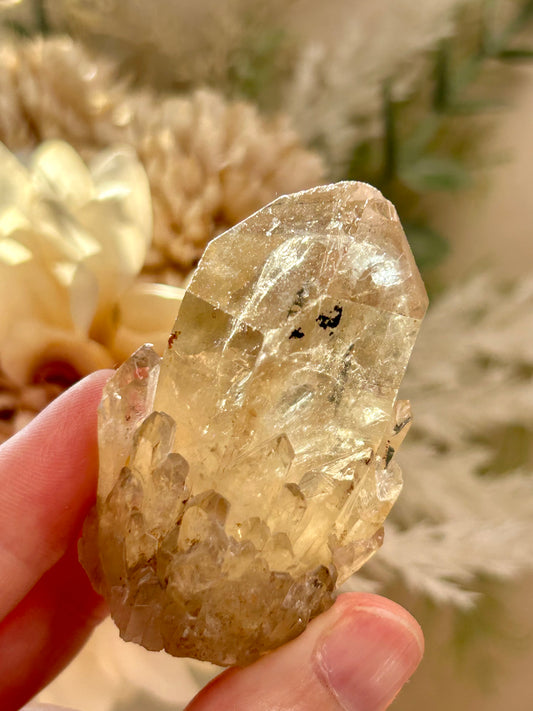 Kundalini Citrine crystal from the Democratic Republic of Congo displaying golden honey tones and unique crystal formations. Individual Citrine specimen suitable for crystal collectors and enthusiasts.
