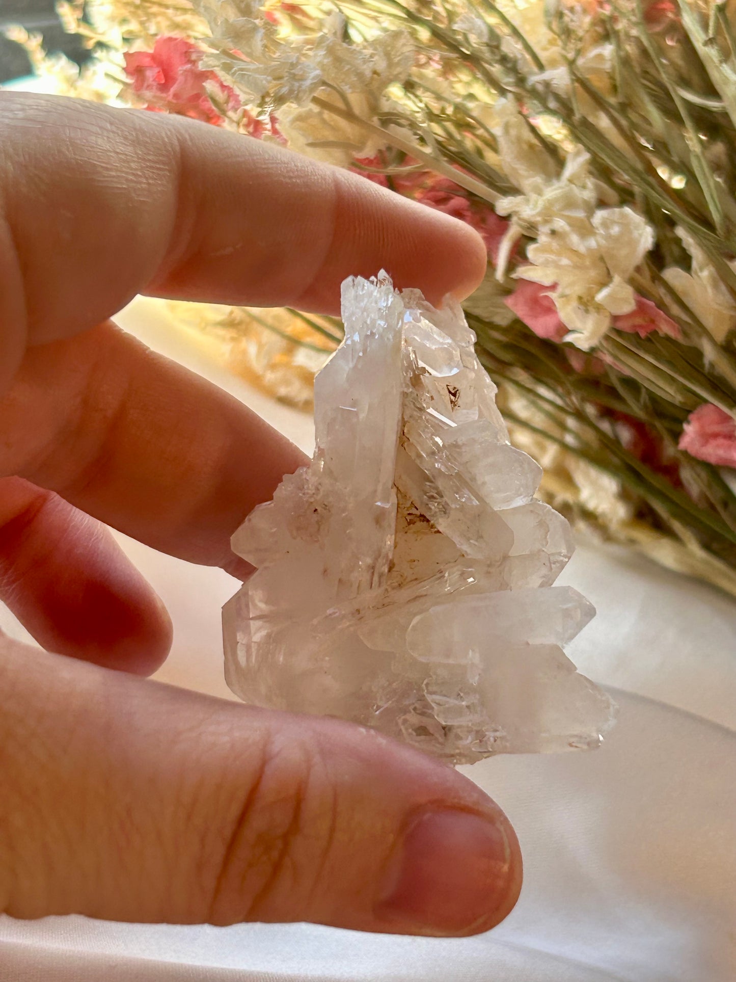 Sacred Pink Lemurian/ Tabular Quartz