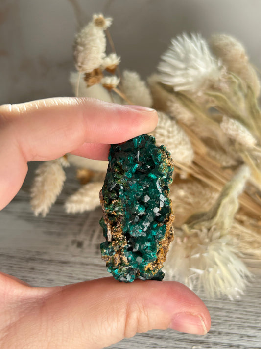 Rare dioptase mineral specimen for collectors and crystal healing