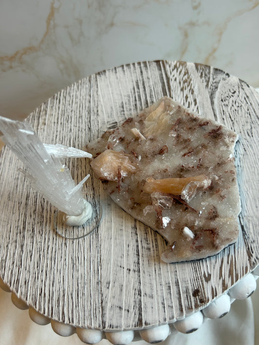 Listing for Priyanka_reichberger