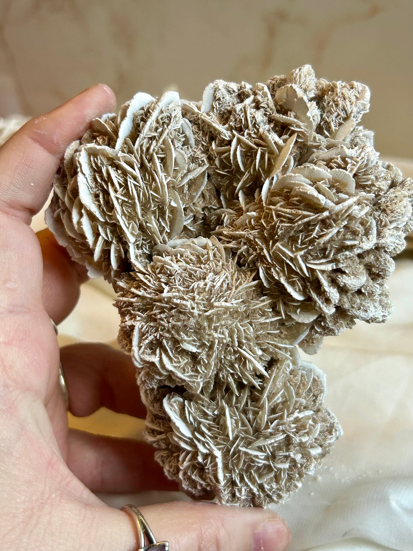Desert Rose Crystal (Gypsum Rosette) – Natural Grounding & Clarity Stone