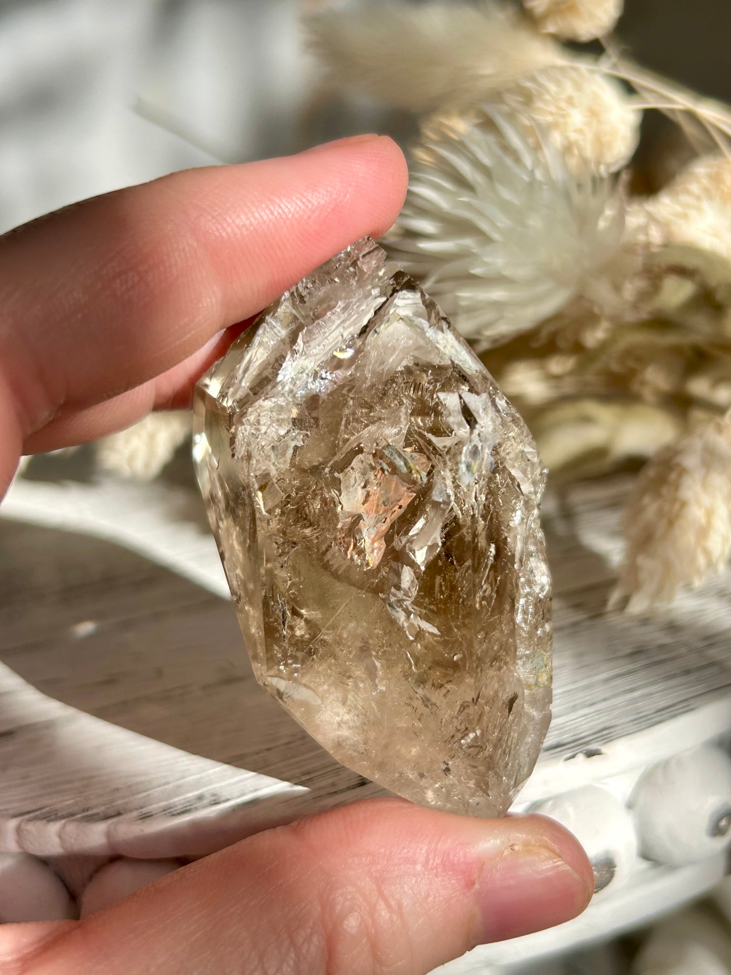 Polished Elestial Quartz DT – Ancient Wisdom Encased in Light