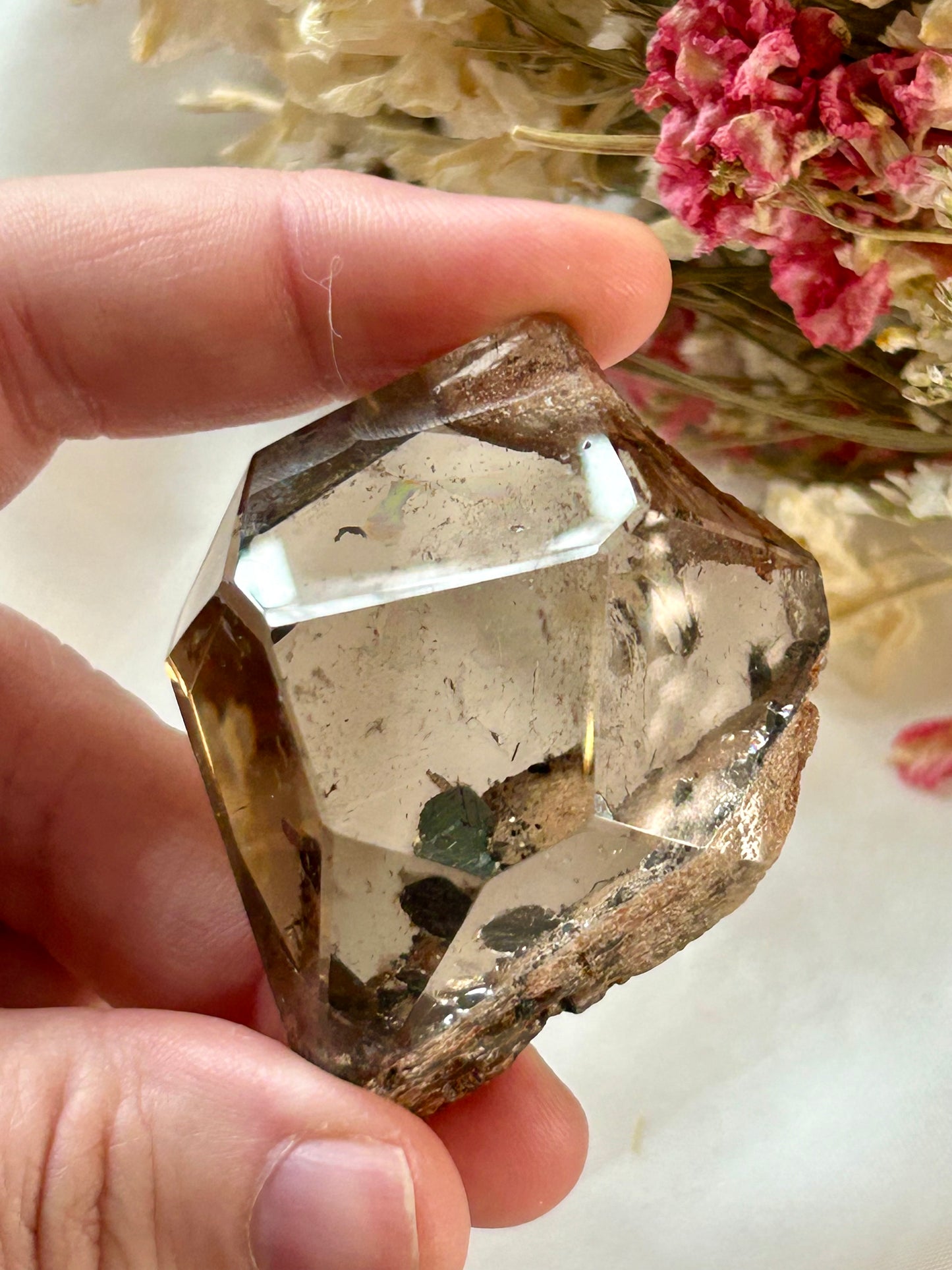 Listing for newmacdonaldsfarm