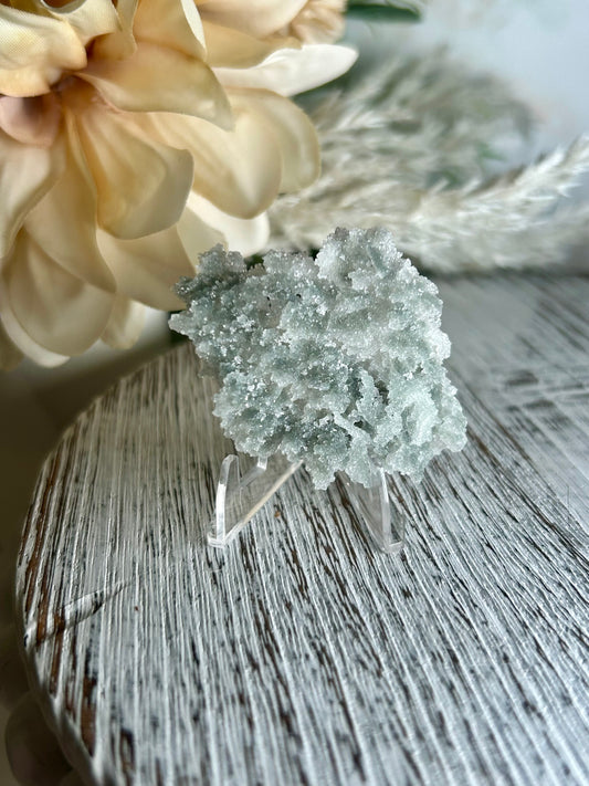 Natural Green Apophyllite crust crystal cluster with sparkling druzy points on display stand from India