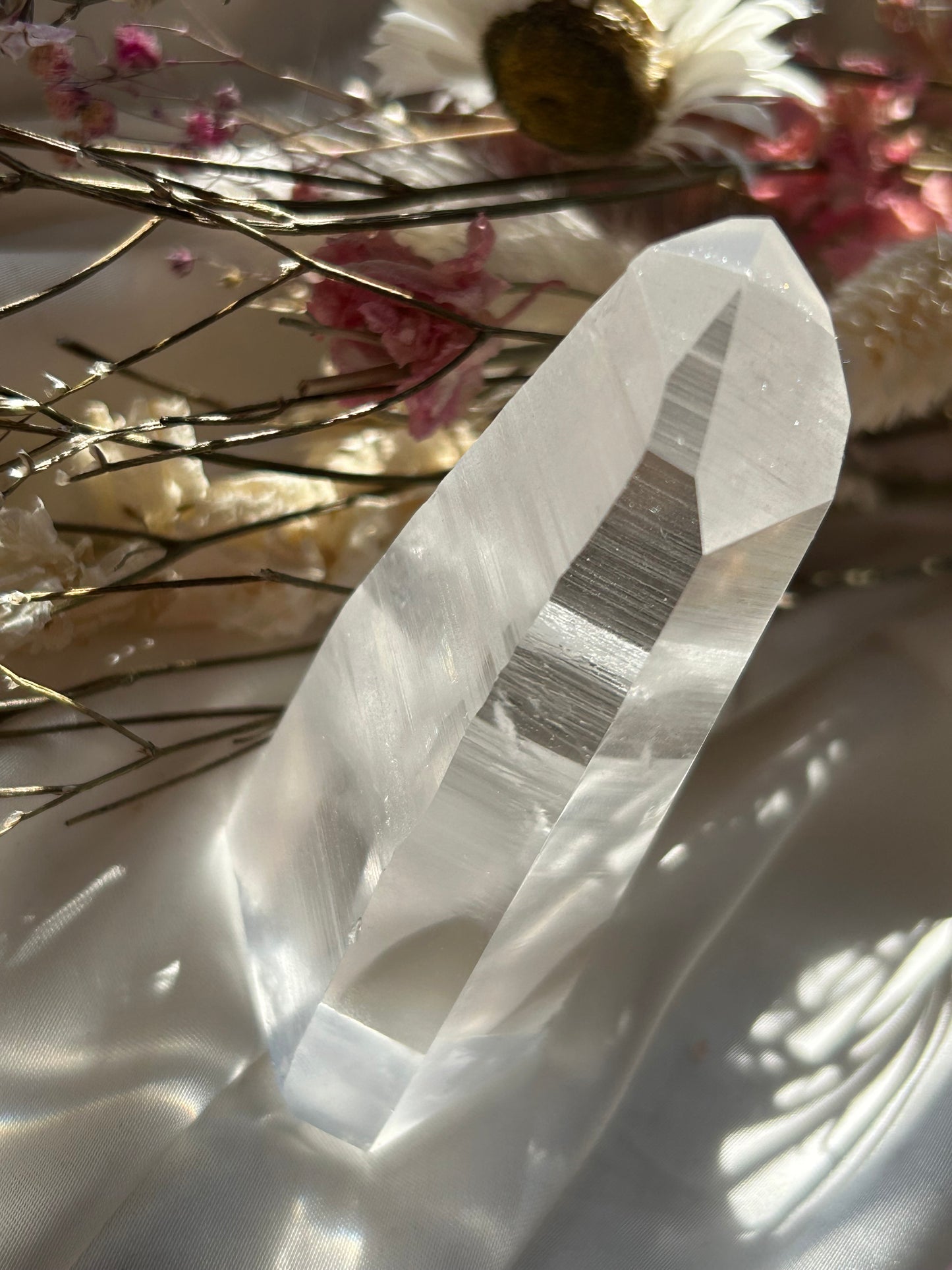 Semi Polished Lemurian