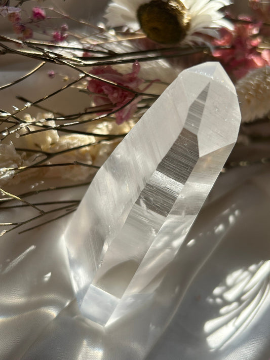 Semi Polished Lemurian