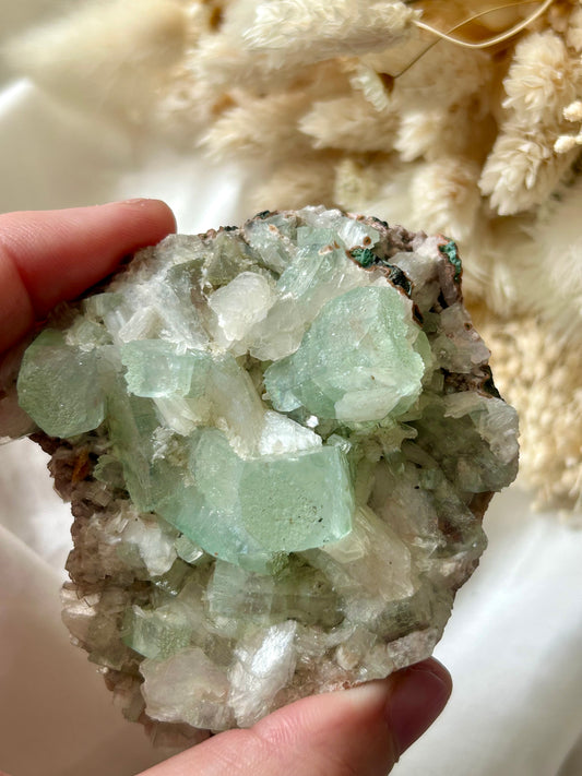 Green Apophyllite and Stilbite crystal cluster with pale green translucent points and peach-toned blades, displayed on ivory silk with soft dried flowers in the background.