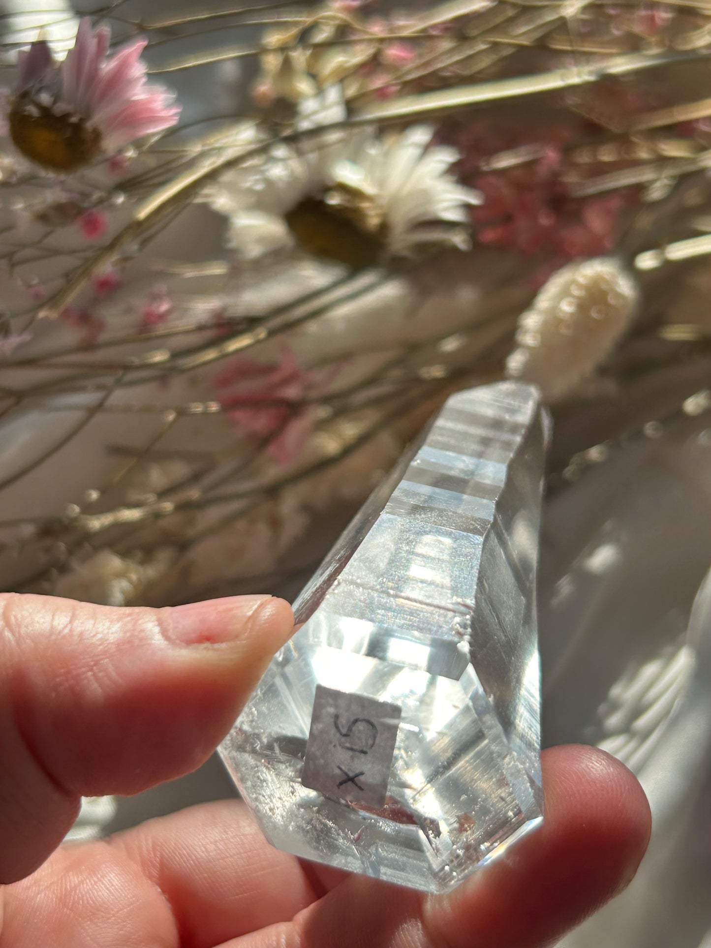 Semi Polished Lemurian