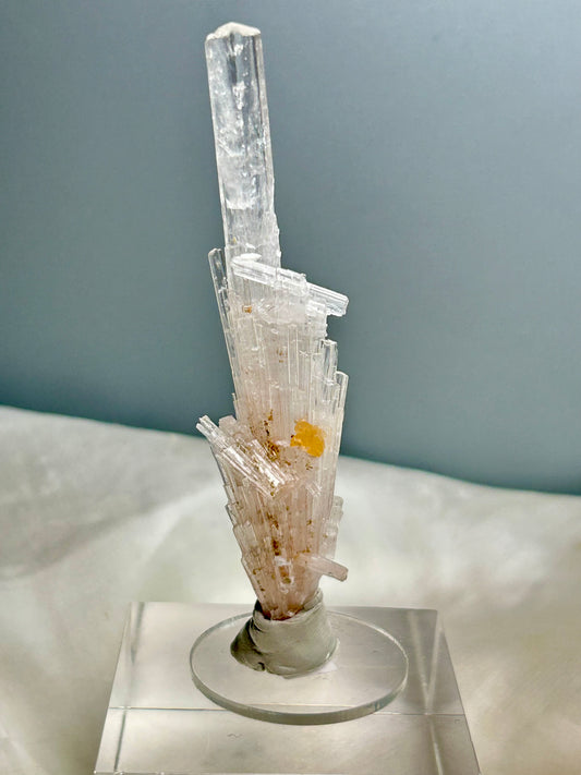 Natural scolecite spray cluster with golden calcite nodules from Maharashtra, featuring delicate radiating crystal blades