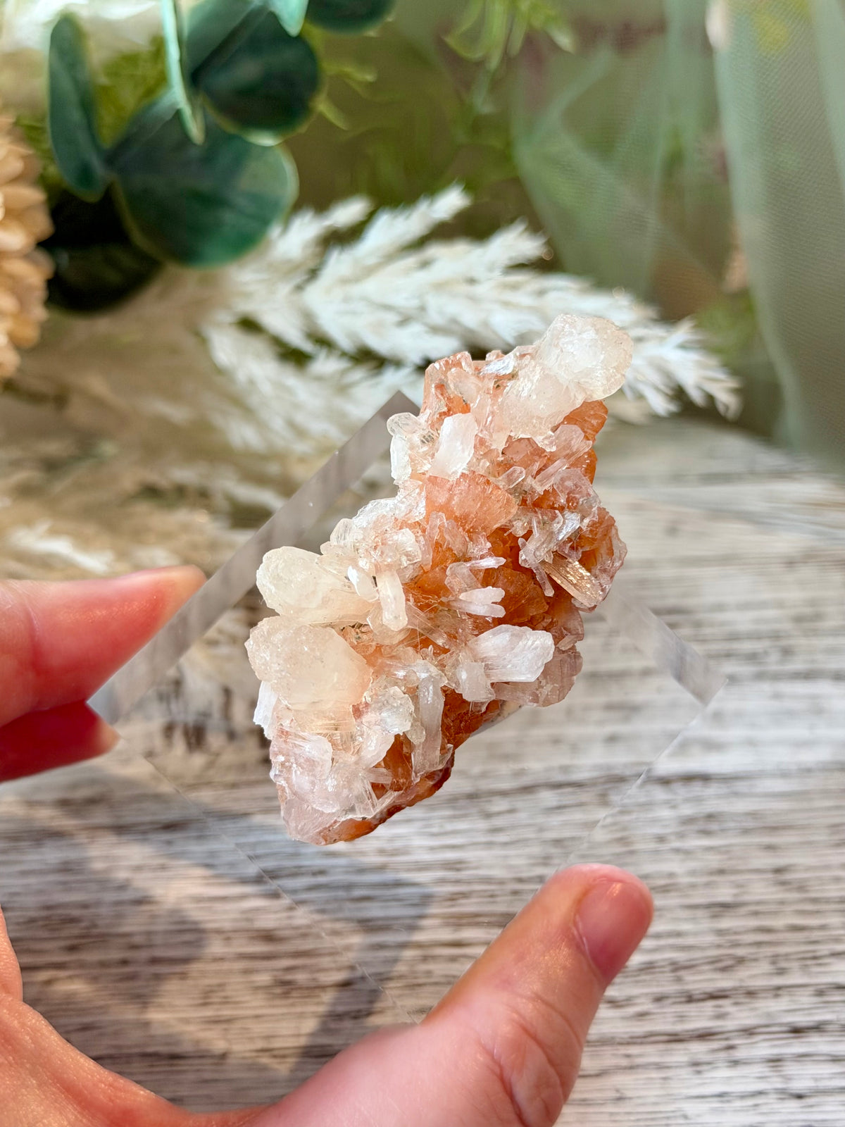 Chalcedony with Stellerite & Heulandite | Natural Mineral Specimen