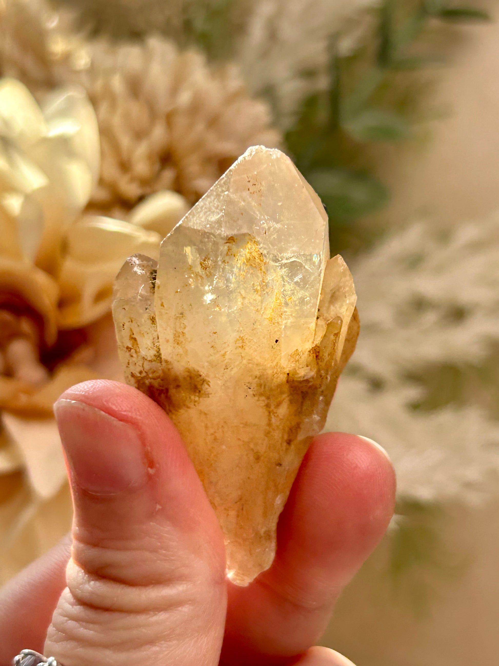 Kundalini Citrine crystal from the Democratic Republic of Congo displaying golden honey tones and unique crystal formations. Individual Citrine specimen suitable for crystal collectors and enthusiasts.