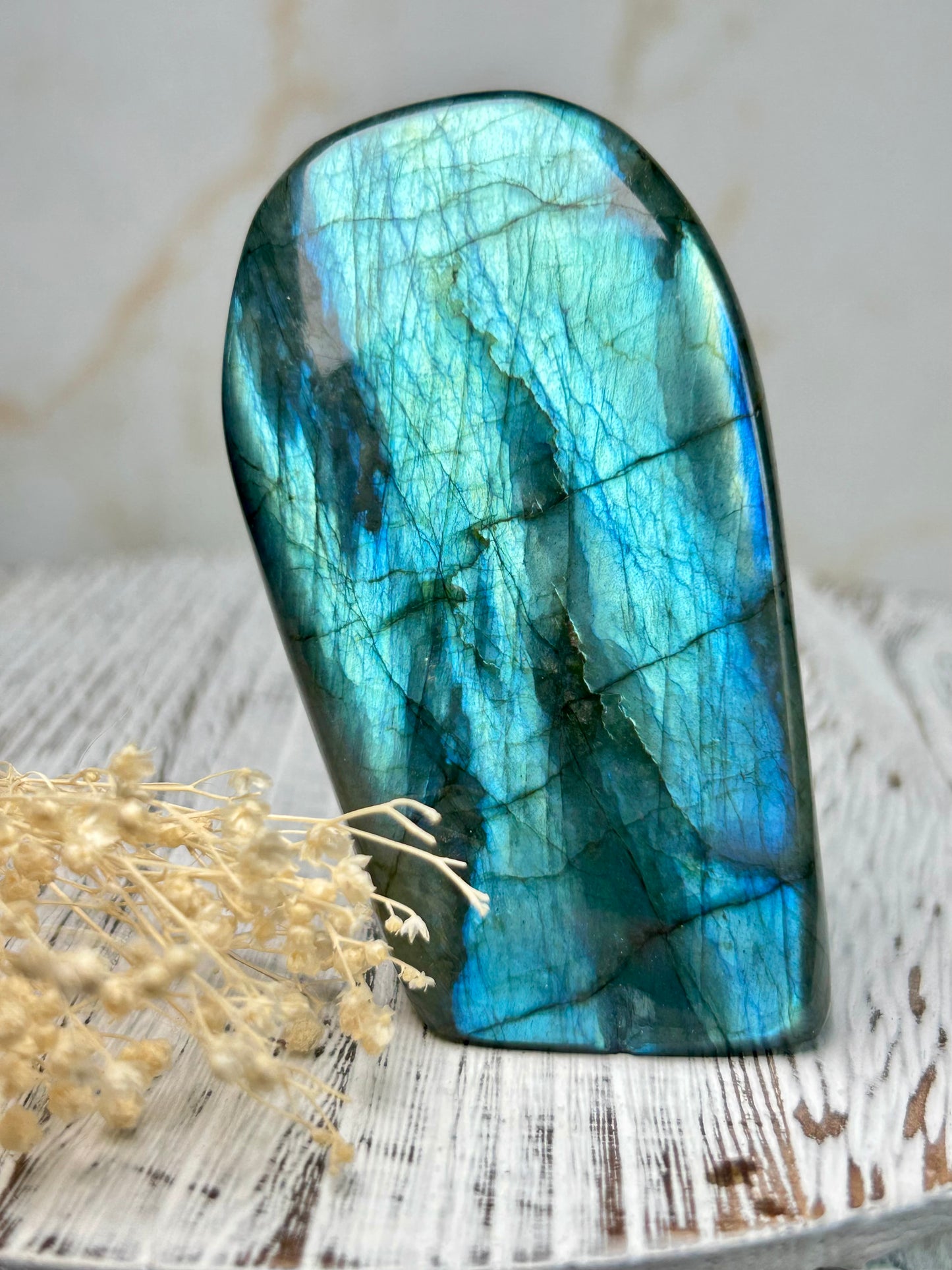 Polished labradorite freeform with vivid blue flash and iridescent surface on a distressed white wooden board with dried cream flowers