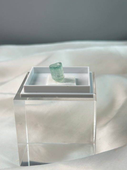 Green Tourmaline Crystal – Barras de Salinas, Brazil (with Display Box)