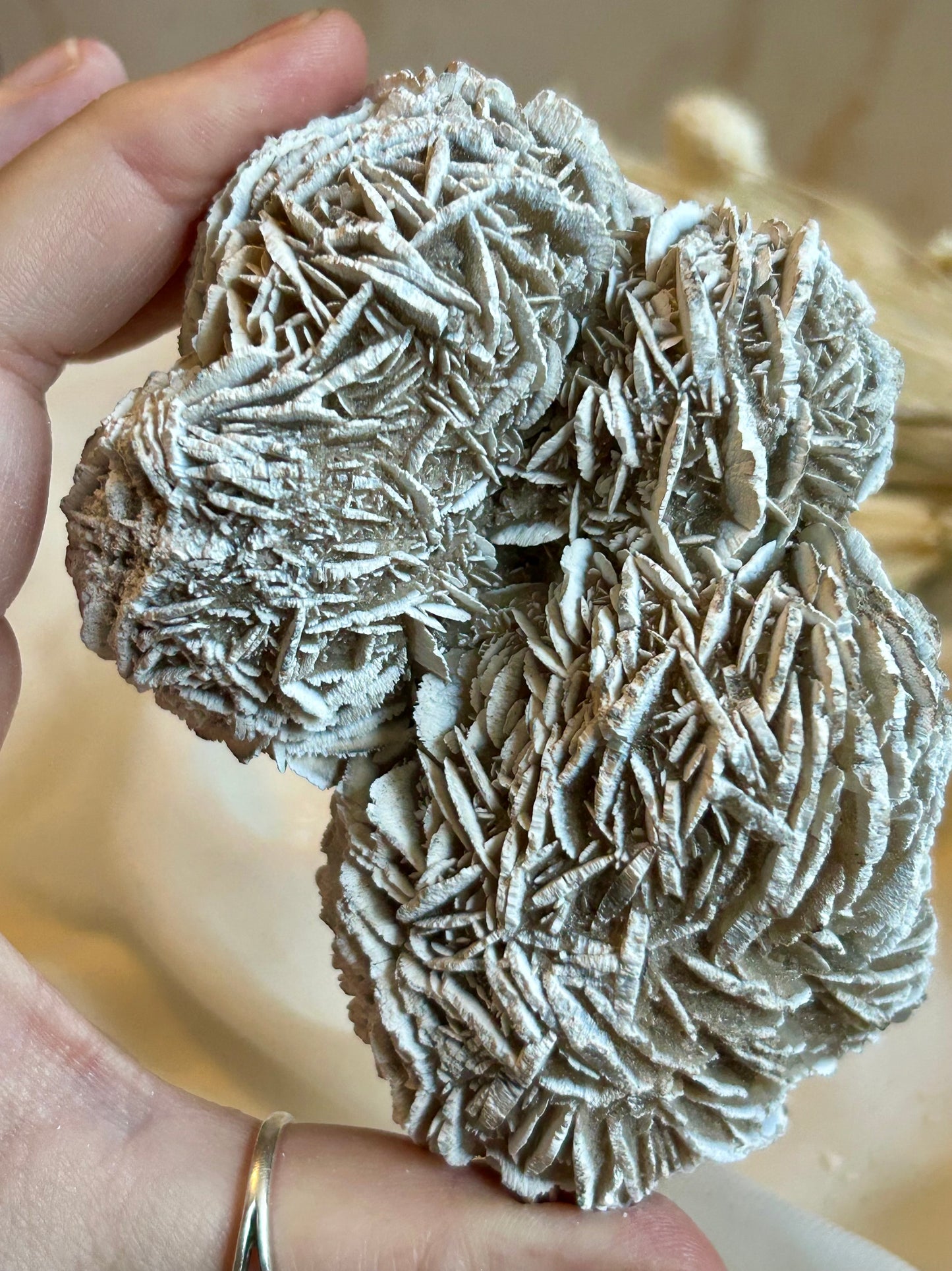 Desert Rose Crystal (Gypsum Rosette) – Natural Grounding & Clarity Stone