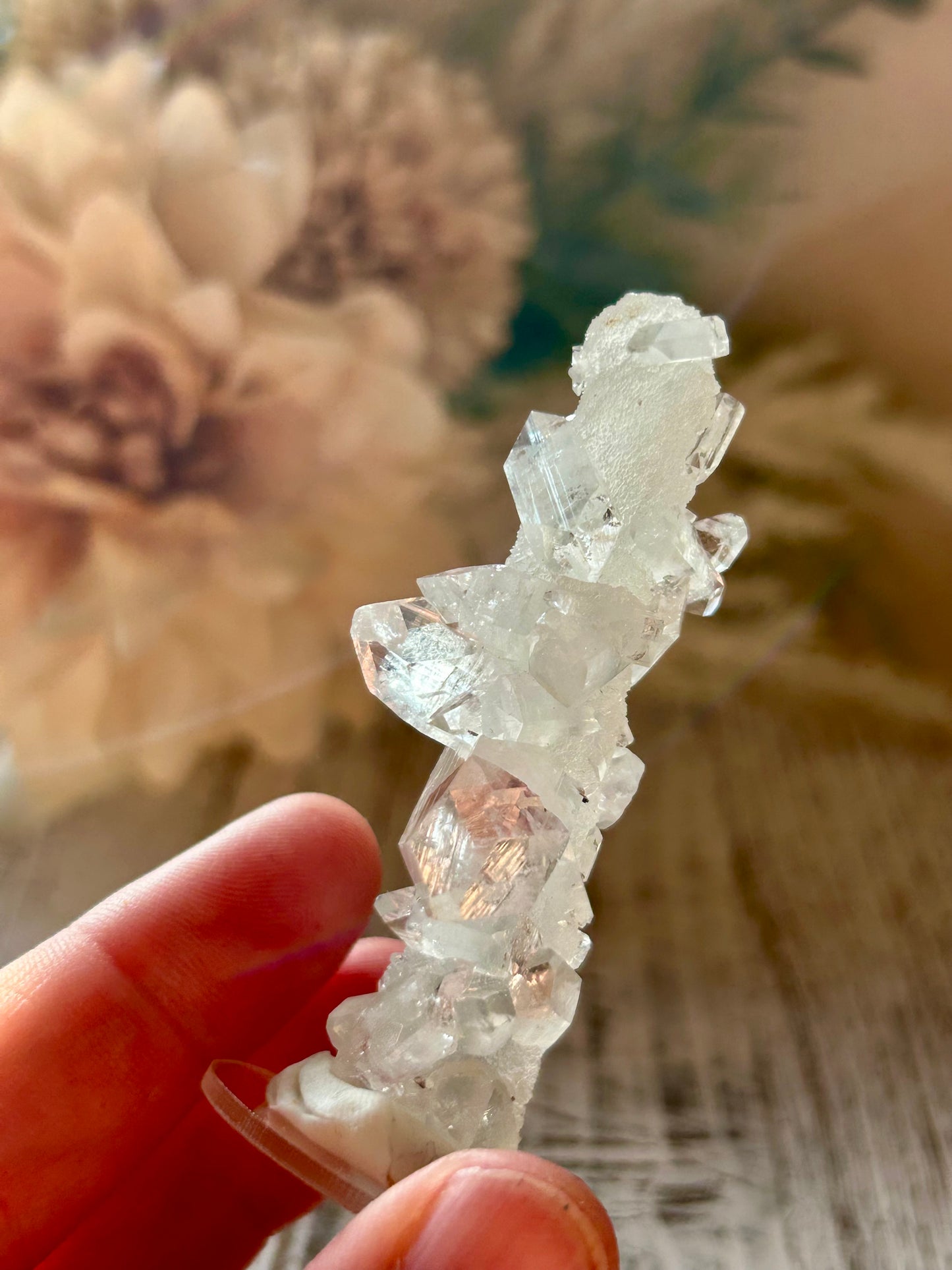 High Grade Apophyllite Stalactite