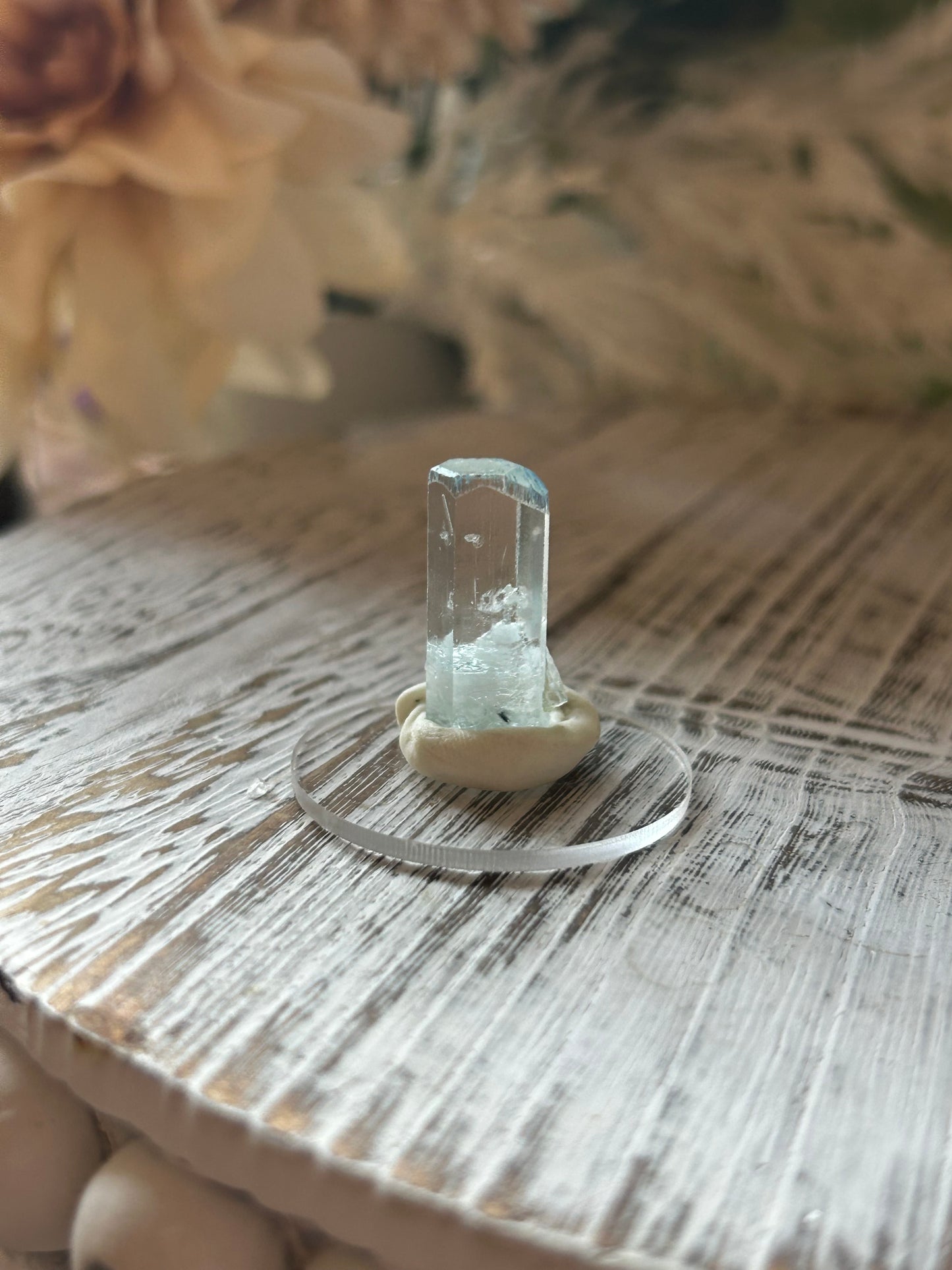 Listing for moonandco_uk