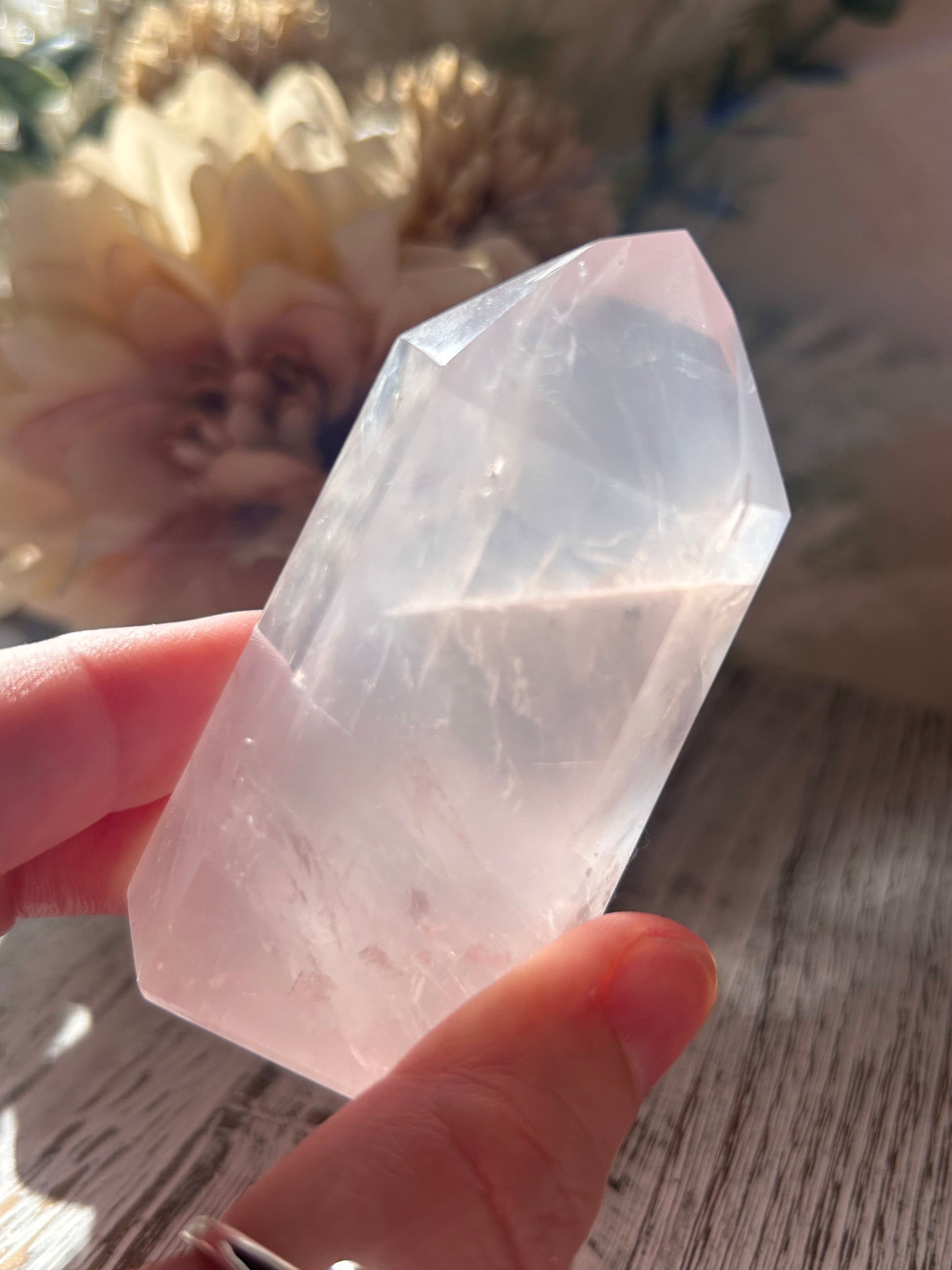Hand holding a clear crystal with flowers in the background