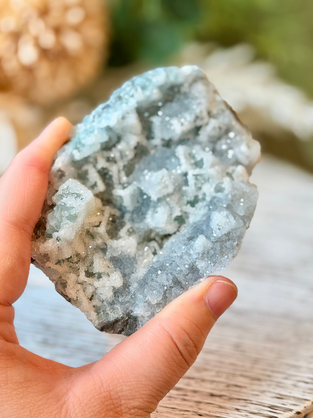 Green Sugar Fluorite Cluster - Stand Included