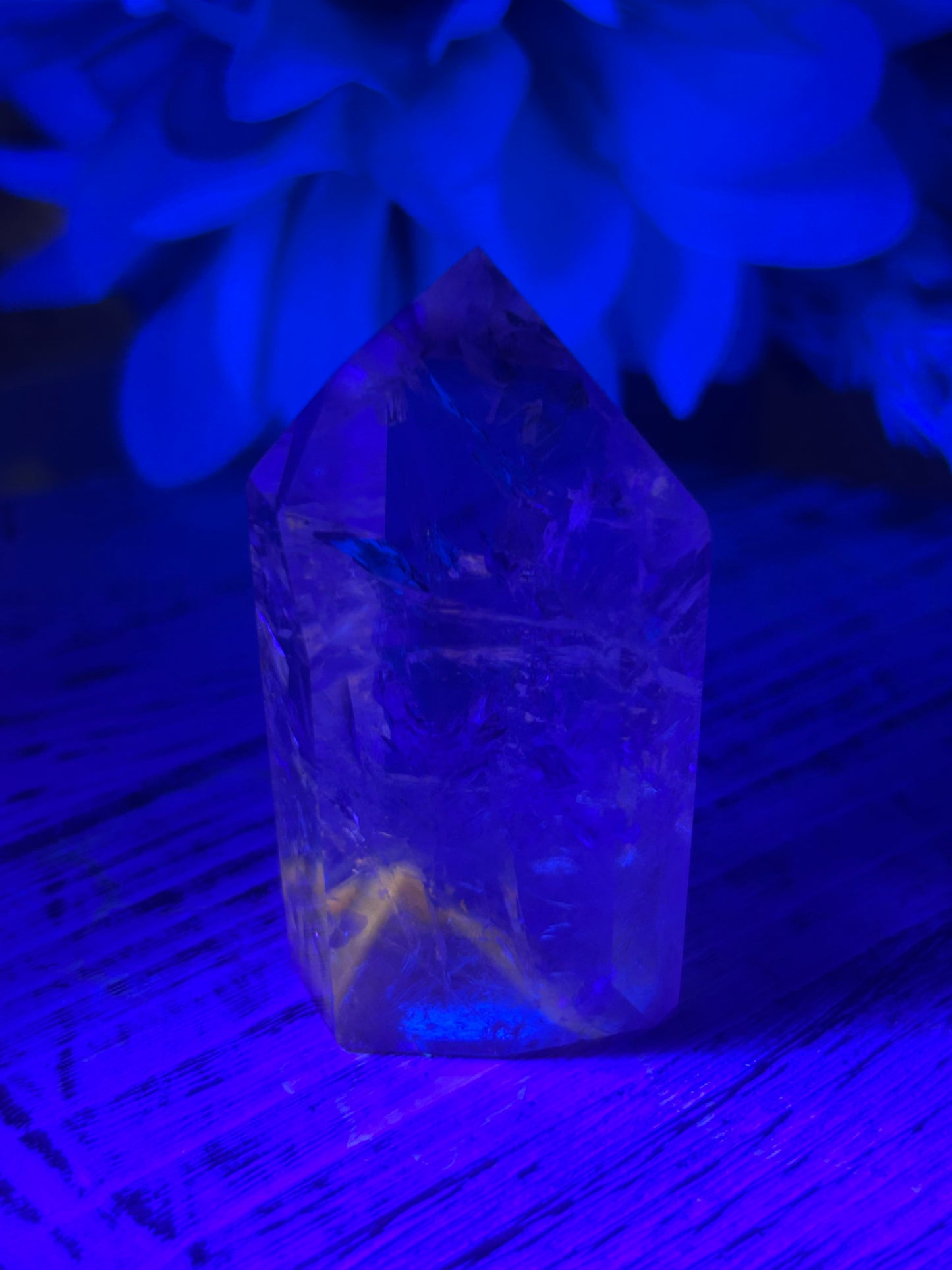 “Powellite” Amethyst | UV Reactive Growth, Spiritual Focus & Inner Illumination