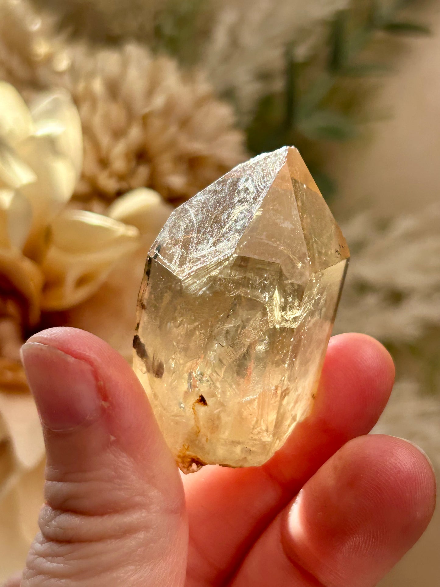 Kundalini Citrine crystal from the Democratic Republic of Congo displaying golden honey tones and unique crystal formations. Individual Citrine specimen suitable for crystal collectors and enthusiasts.