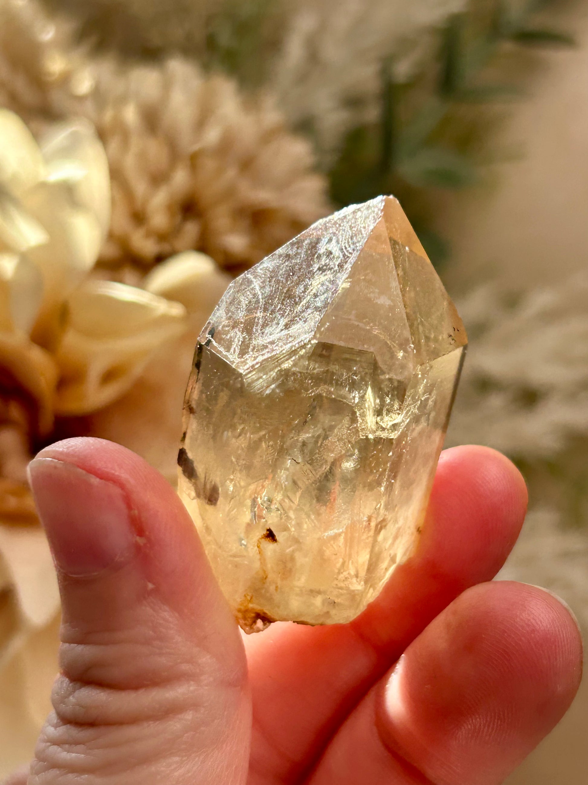 Kundalini Citrine crystal from the Democratic Republic of Congo displaying golden honey tones and unique crystal formations. Individual Citrine specimen suitable for crystal collectors and enthusiasts.
