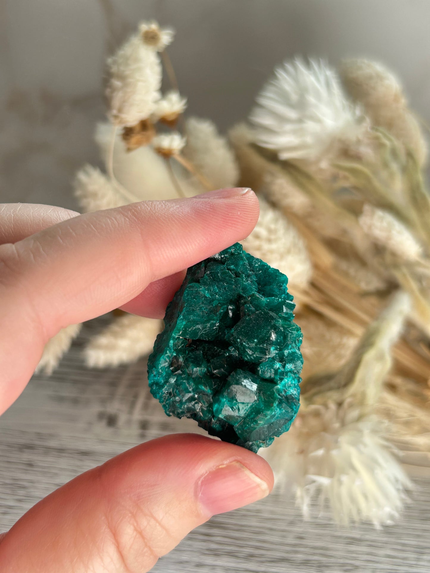 Rare dioptase mineral specimen for collectors and crystal healing