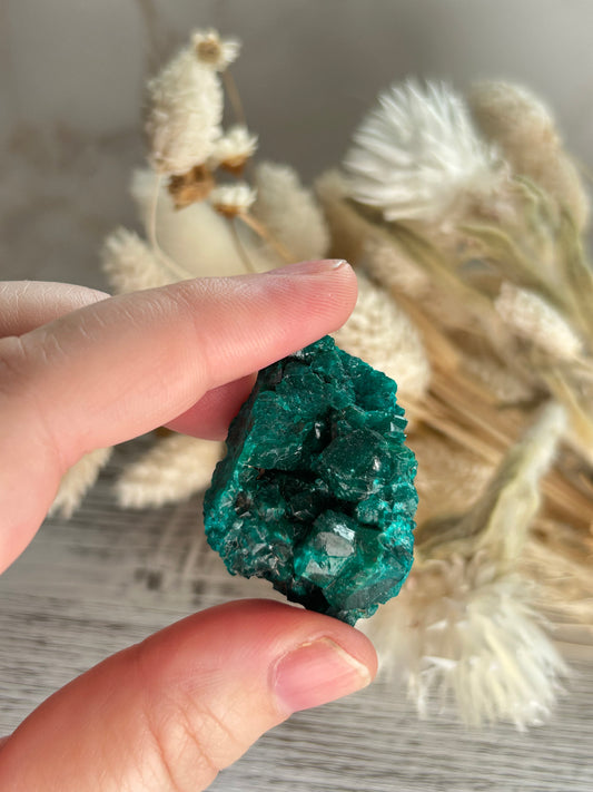 Rare dioptase mineral specimen for collectors and crystal healing