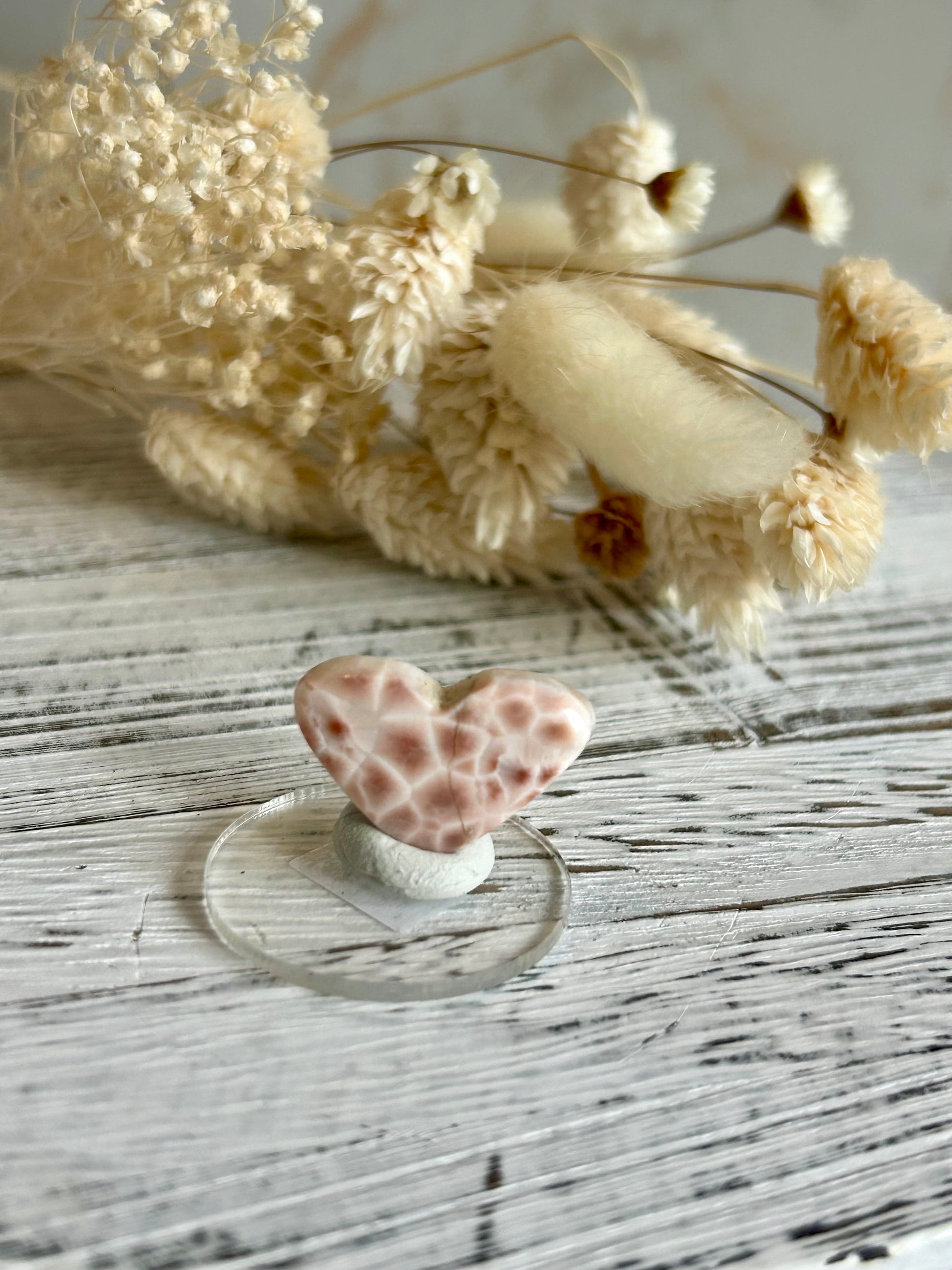 Soft coral-toned pink natrolite heart cut crystal displaying subtle internal inclusions and shine, in warm daylight.