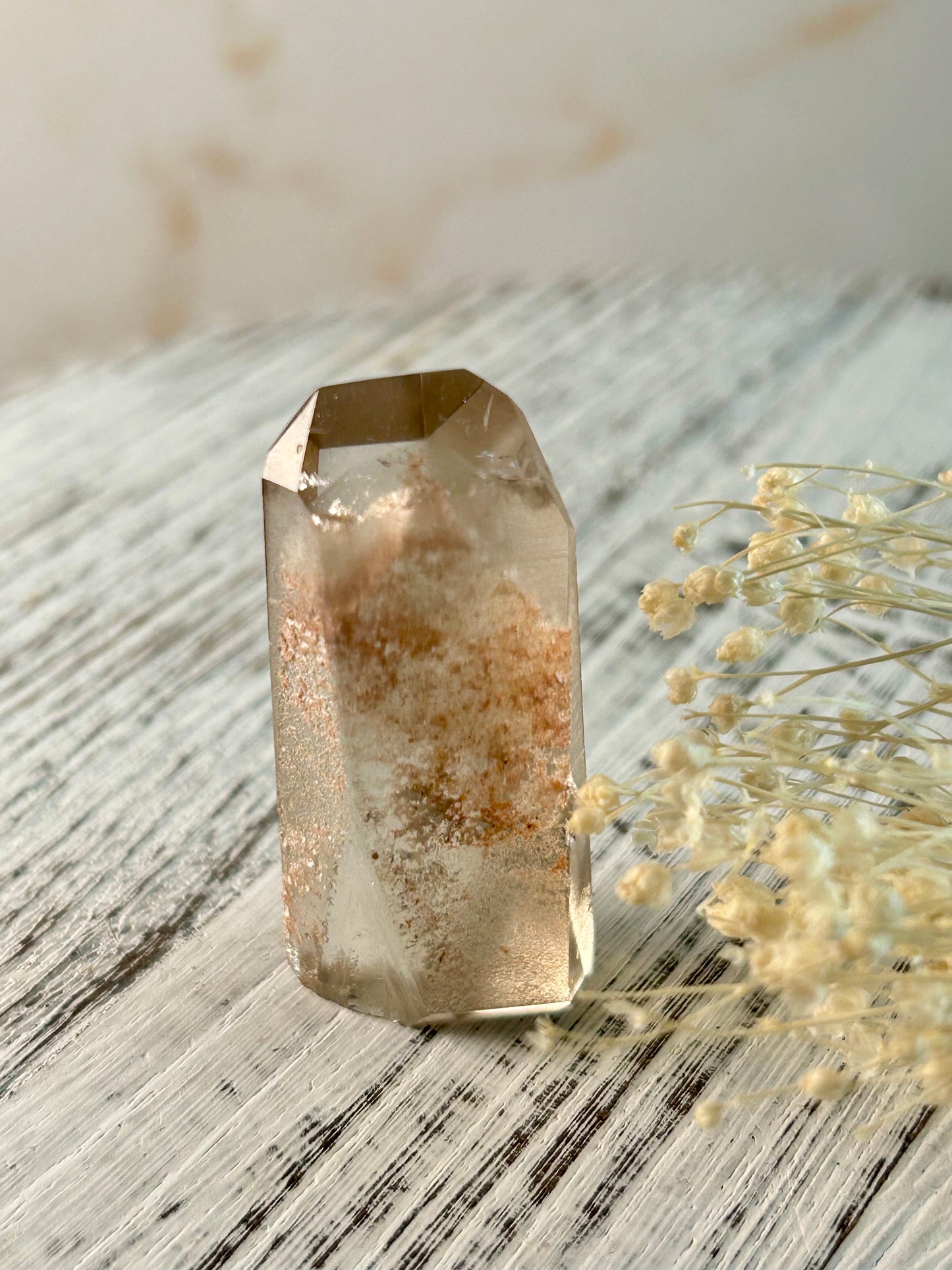 Phantom Lodolite Crystal | Garden Quartz with Inner Worlds