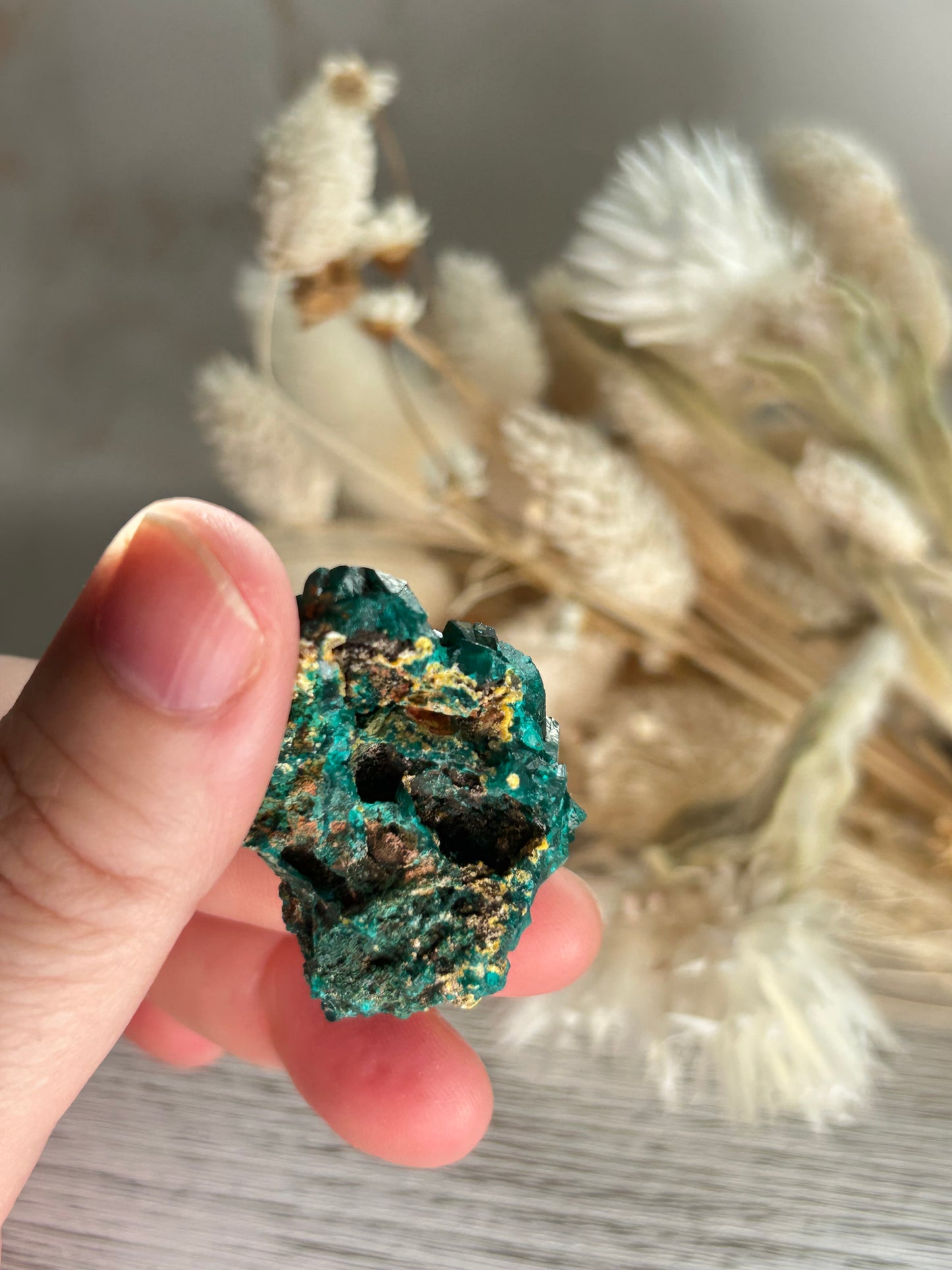 Dioptase Crystal | Rare Emerald Green Healing Stone