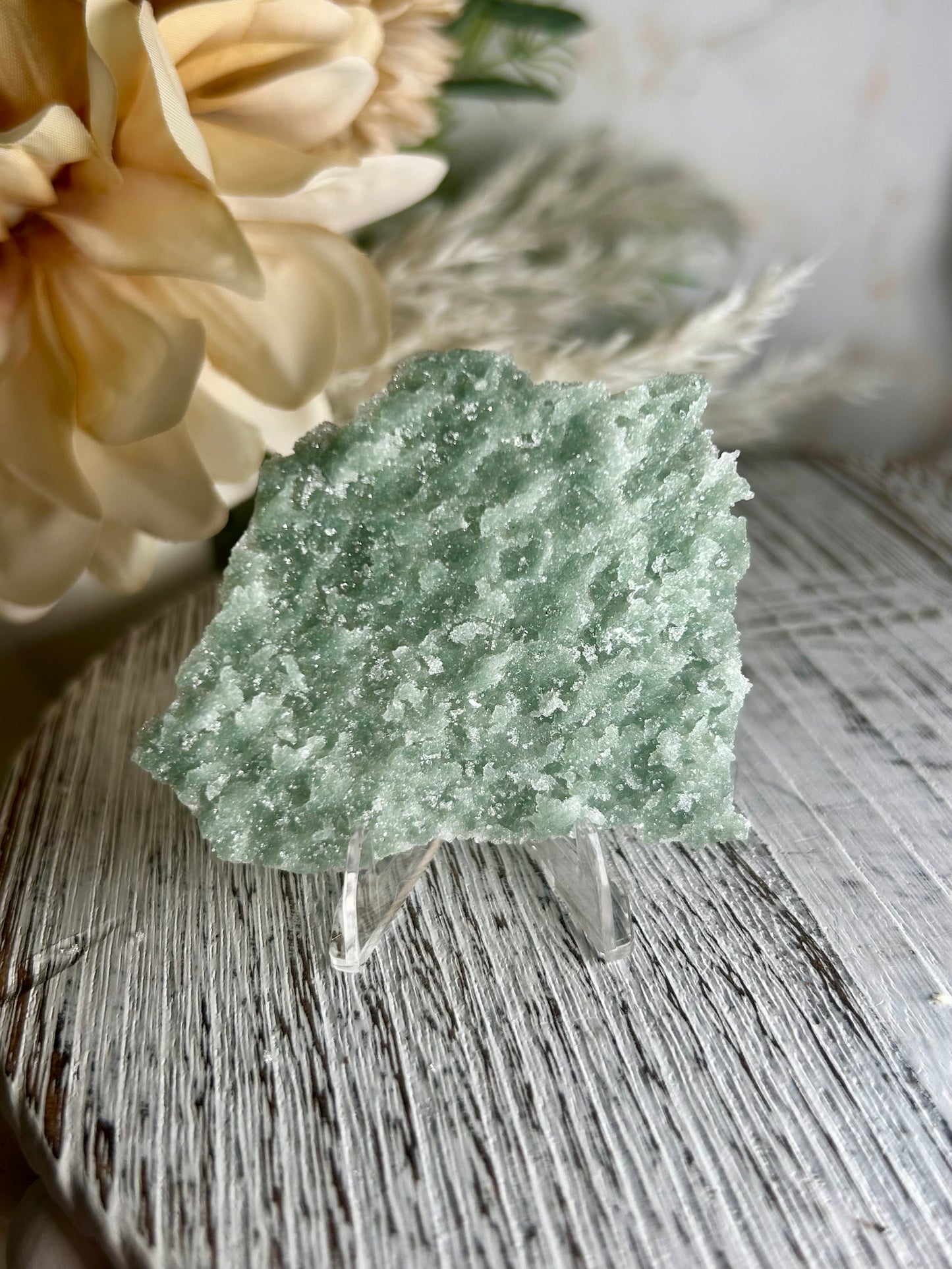 Mini Natural Green Apophyllite crust crystal cluster with sparkling druzy points on display stand from India