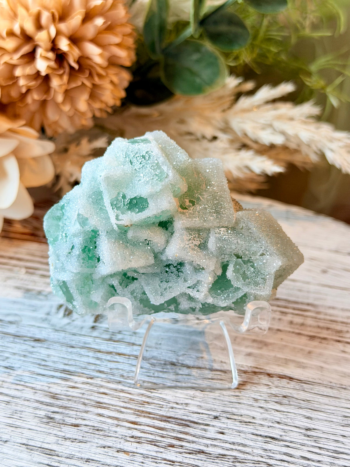 Green Sugar Fluorite Cluster - Stand Included