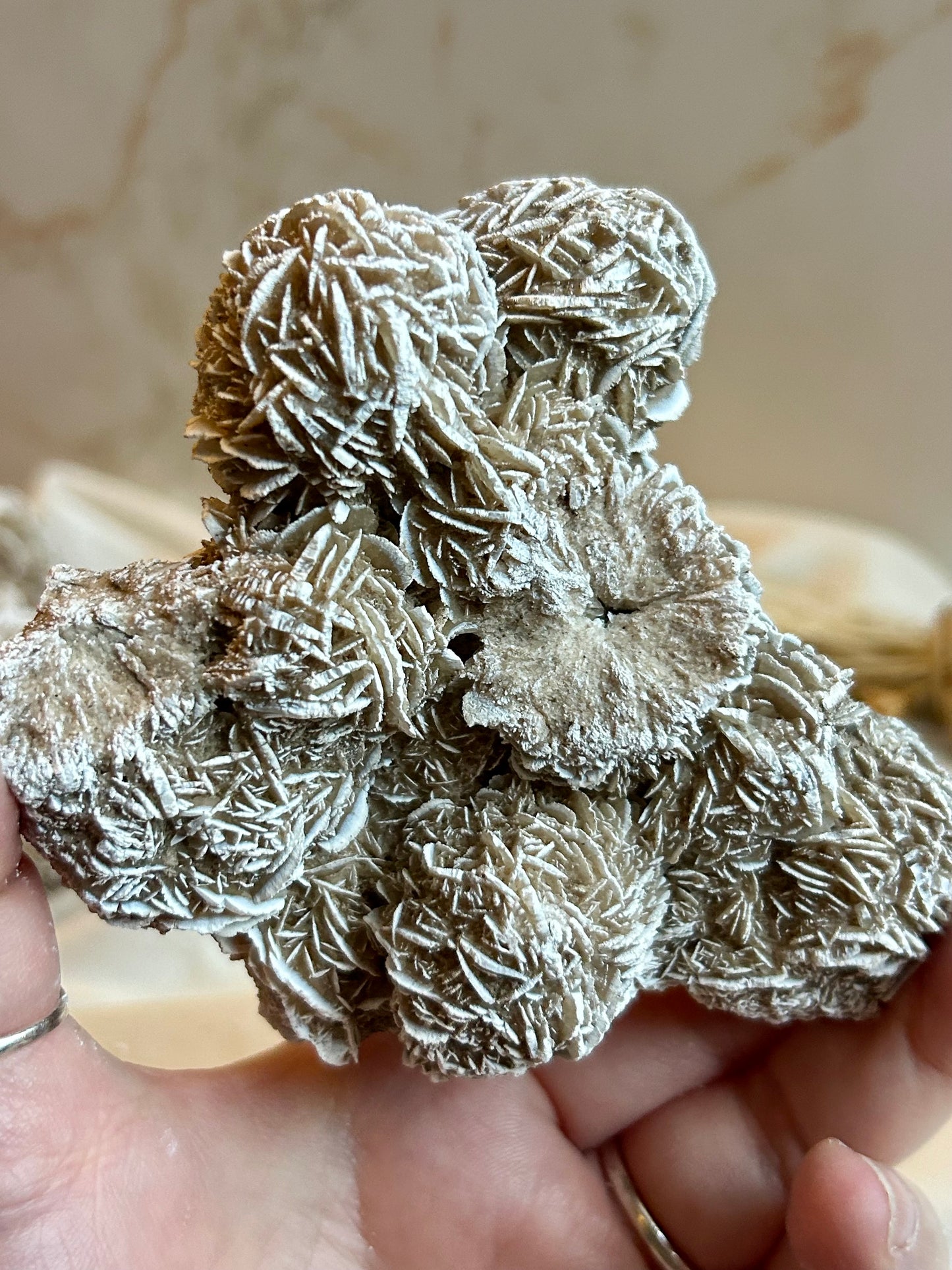 Desert Rose Crystal (Gypsum Rosette) – Natural Grounding & Clarity Stone