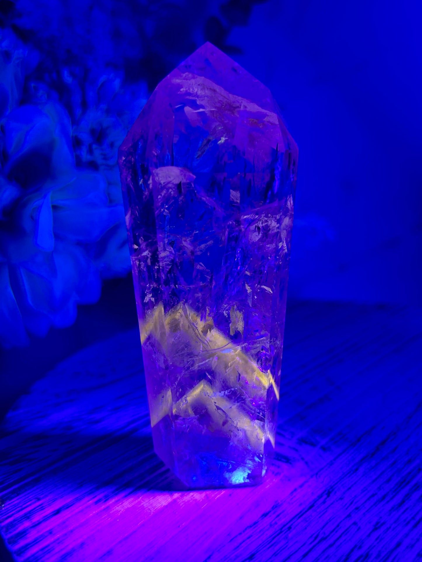 “Powellite” Amethyst | UV Reactive Growth, Spiritual Focus & Inner Illumination