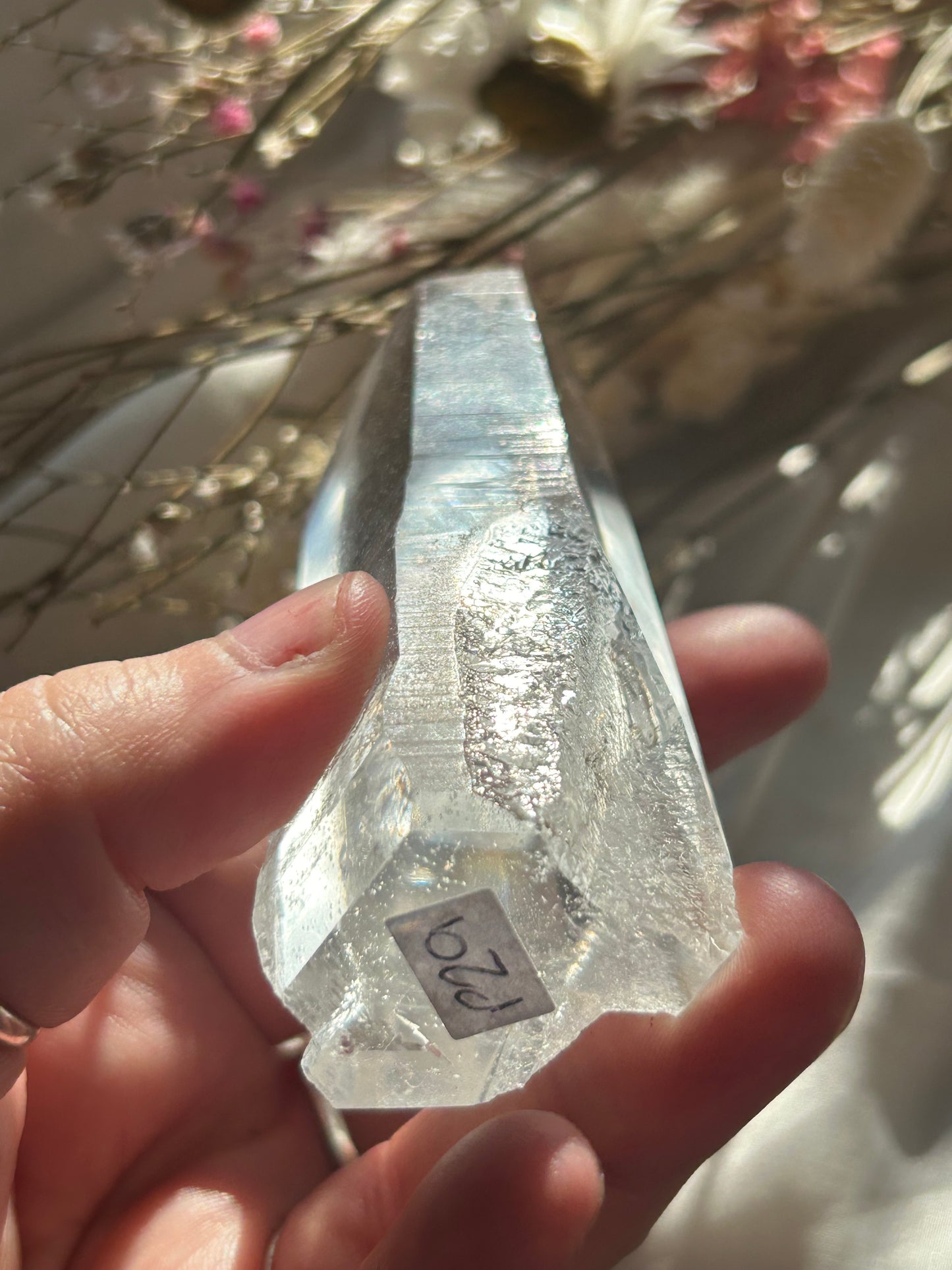 Semi Polished Lemurian