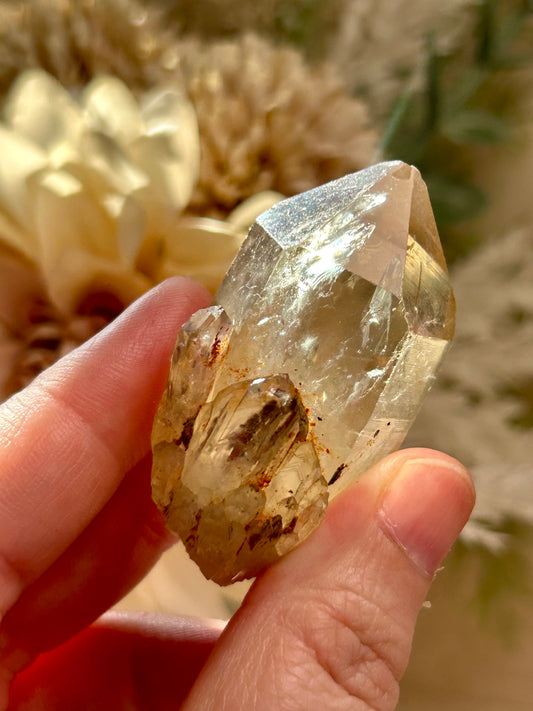 Kundalini Citrine crystal from the Democratic Republic of Congo displaying golden honey tones and unique crystal formations. Individual Citrine specimen suitable for crystal collectors and enthusiasts.