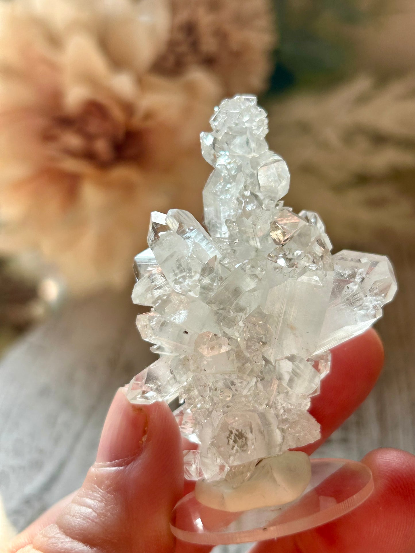 High Grade Apophyllite Stalactite