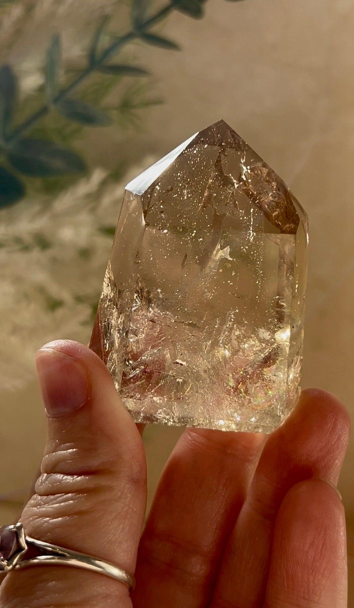 Listing for grogu.goddess
