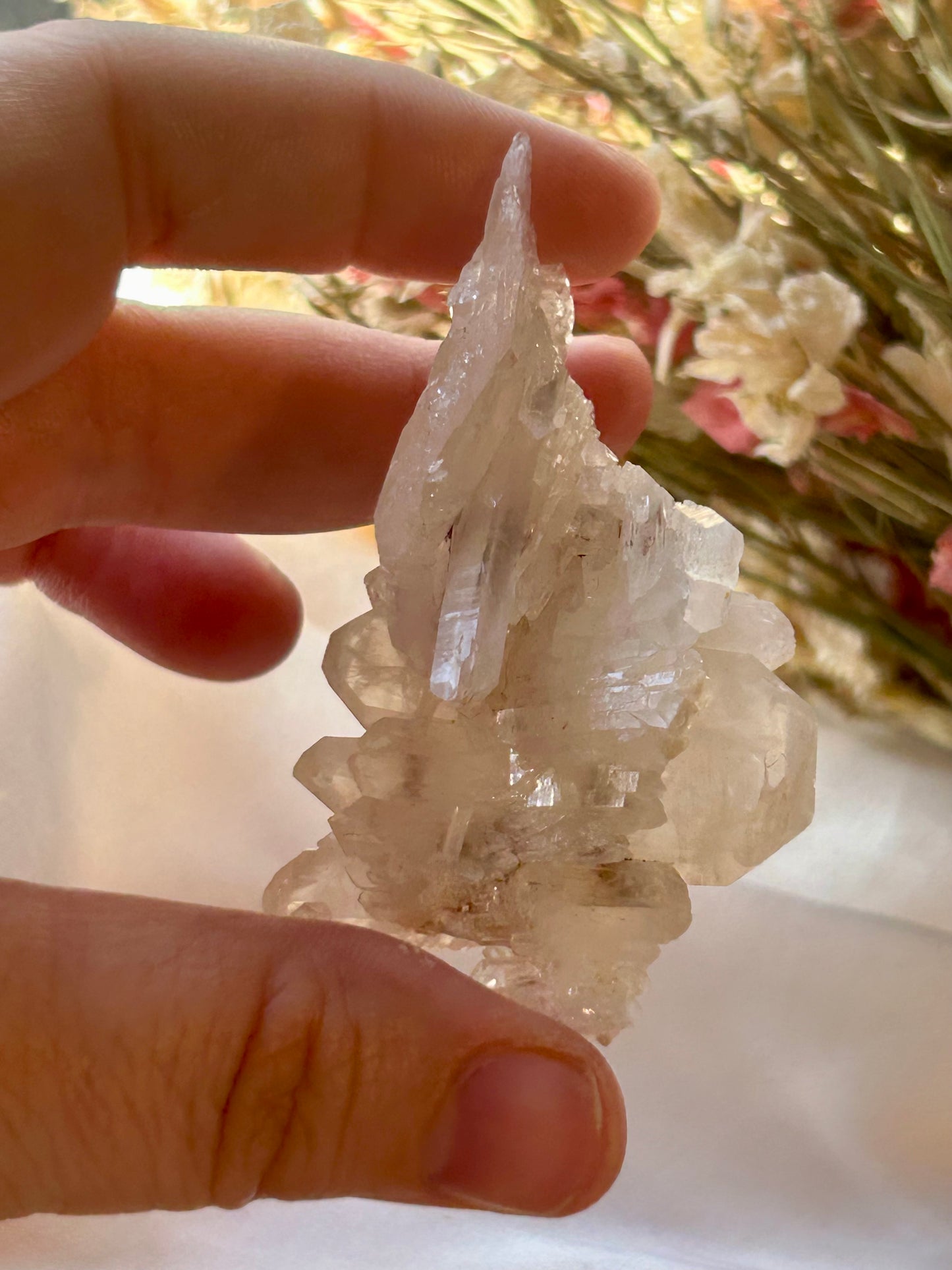 Sacred Pink Lemurian/ Tabular Quartz