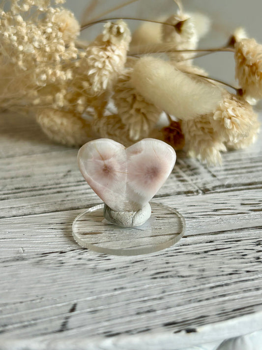 Soft coral-toned pink natrolite heart cut crystal displaying subtle internal inclusions and shine, in warm daylight.